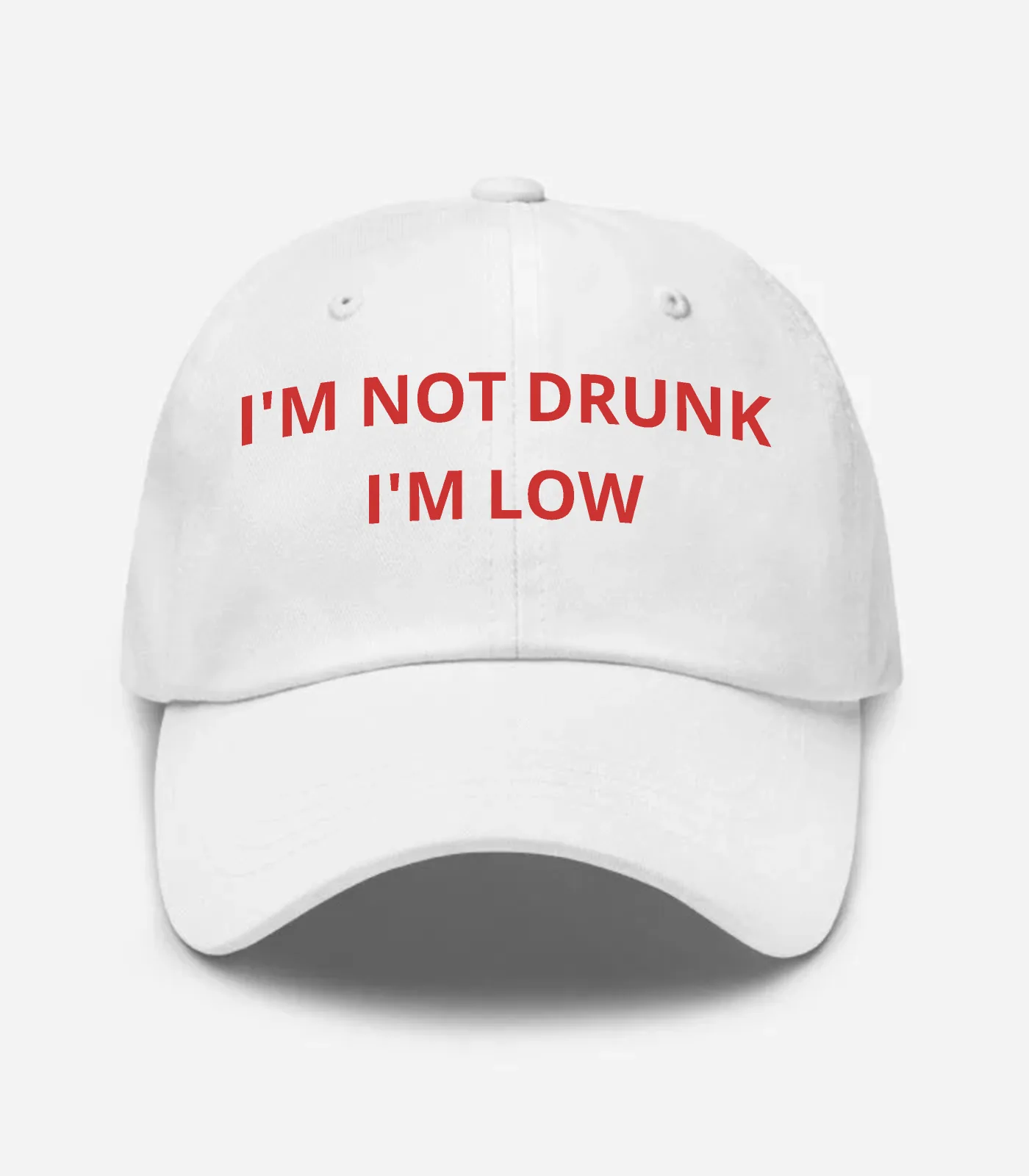 I'm Not Drunk I'm Low Hat