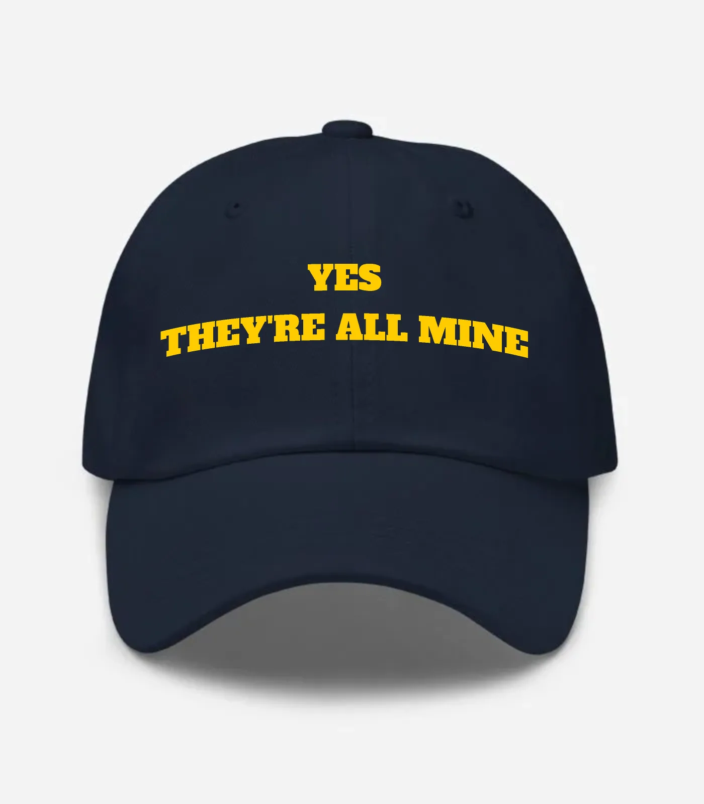 Yes They're All Mine Hat