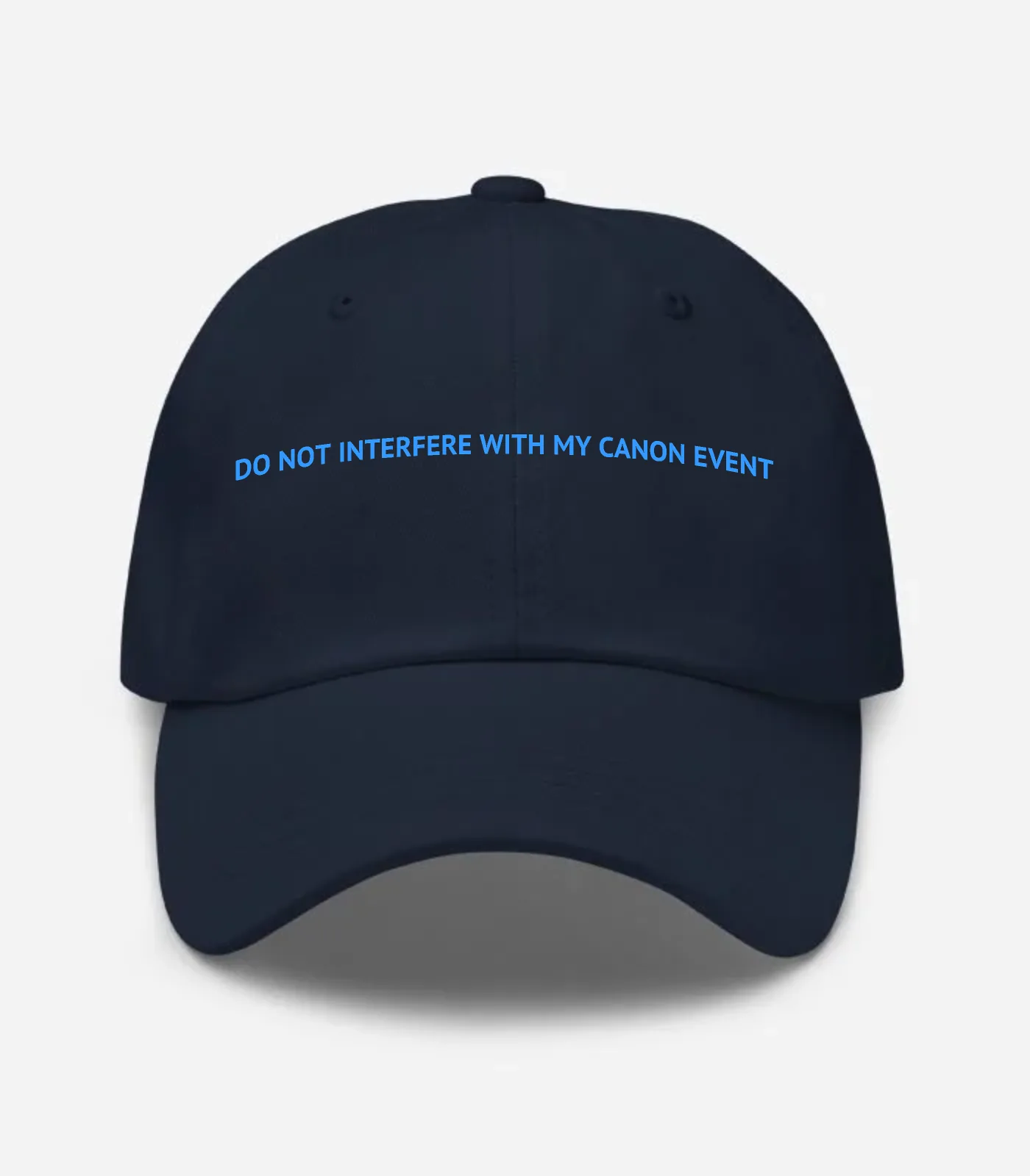 Do Not Interfere With My Ca... Hat