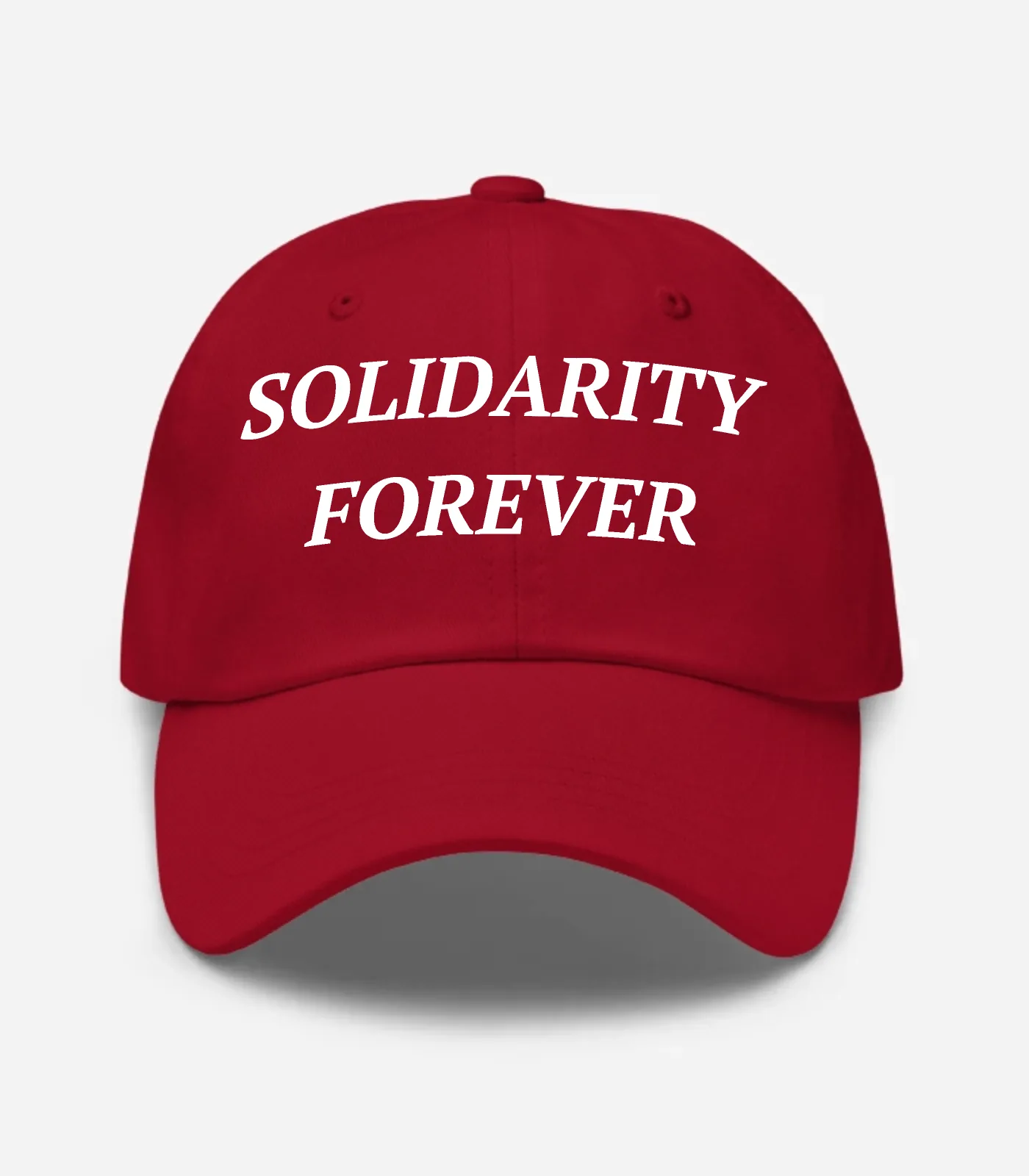 Solidarity Forever Hat