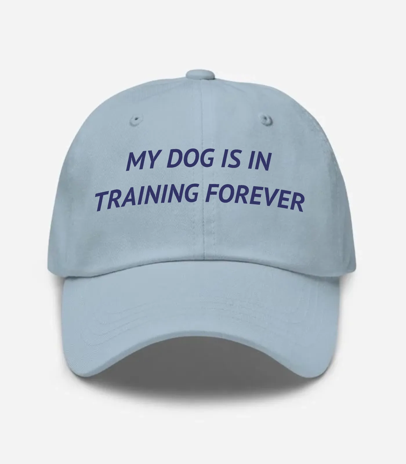 My Dog Is In Training Forever Hat - Light Blue