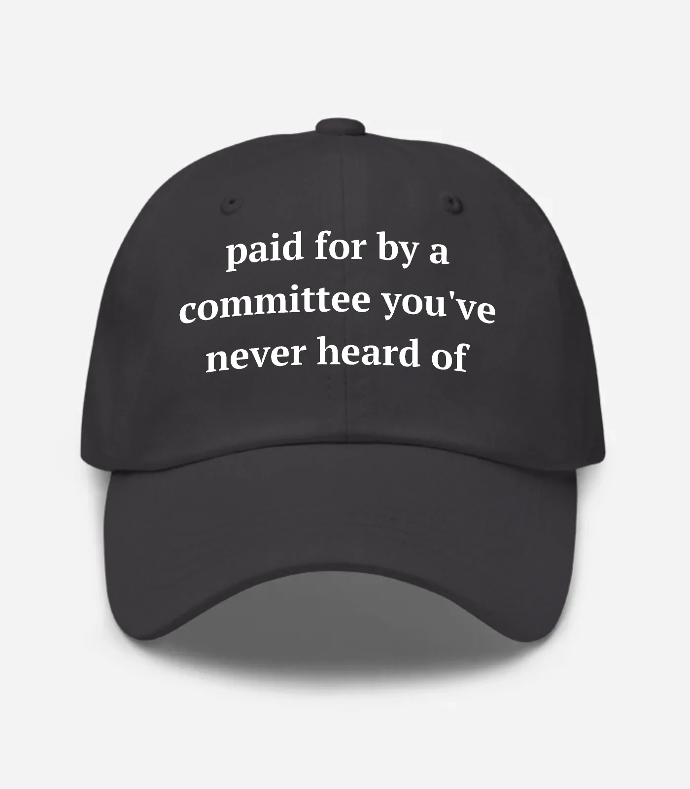 Paid For By A Committee You... Hat - Dark Grey