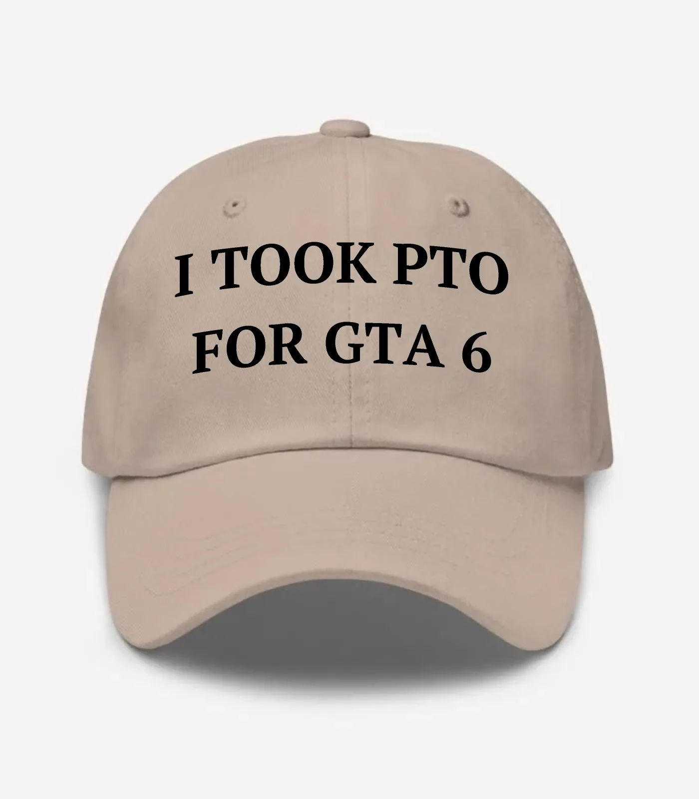I Took Pto For Gta 6 Hat - Stone
