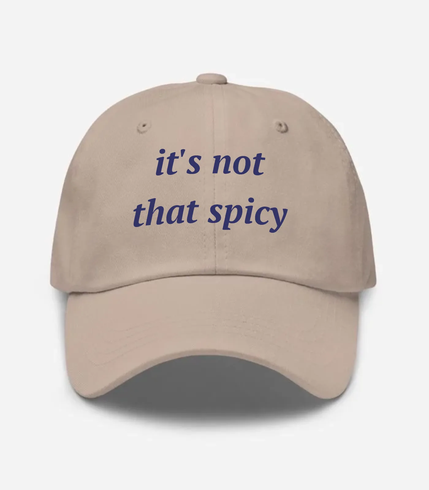 It's Not That Spicy Hat - Stone