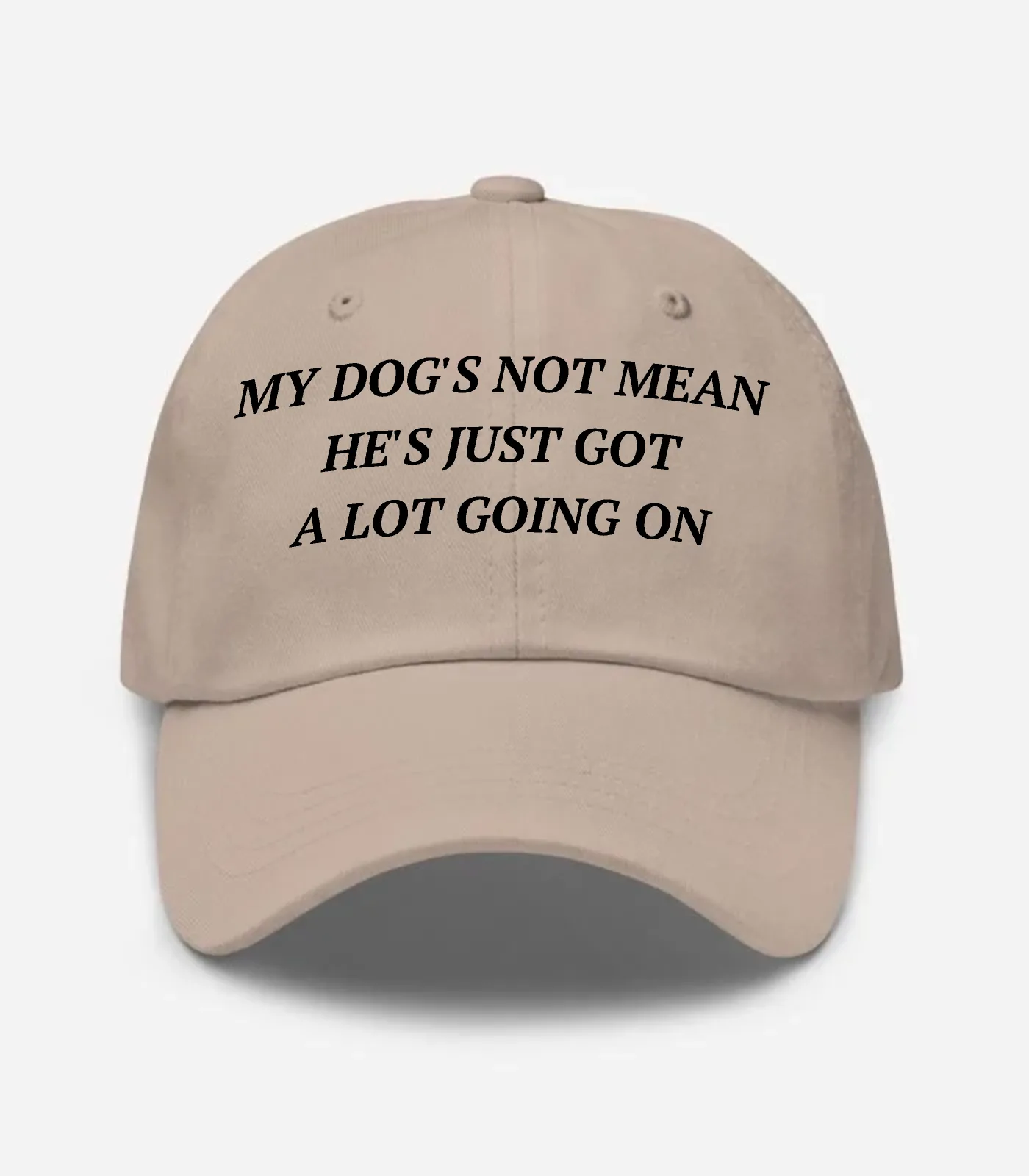 My Dog's Not Mean He's Just... Hat