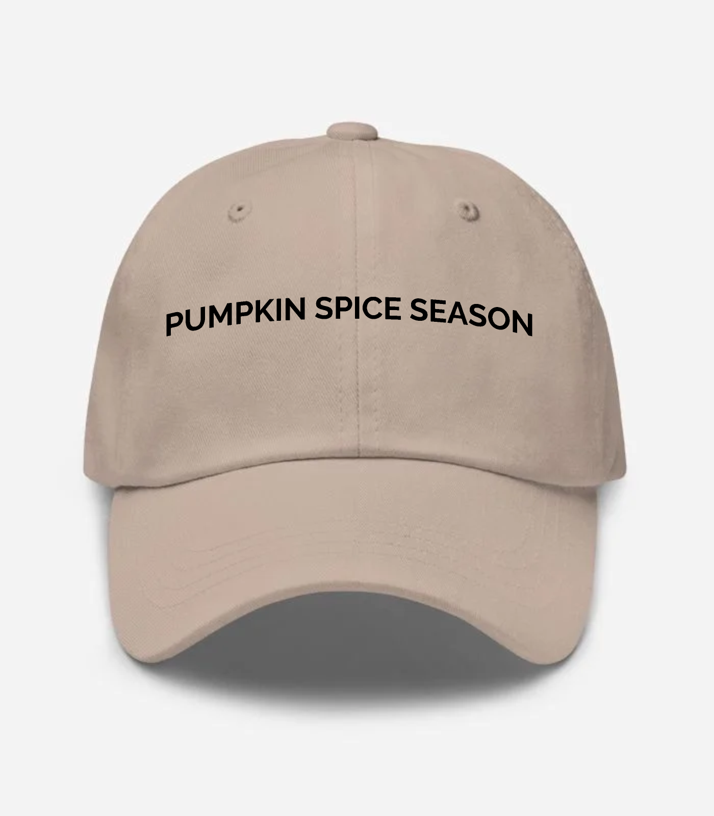 Pumpkin Spice Season Hat - Stone
