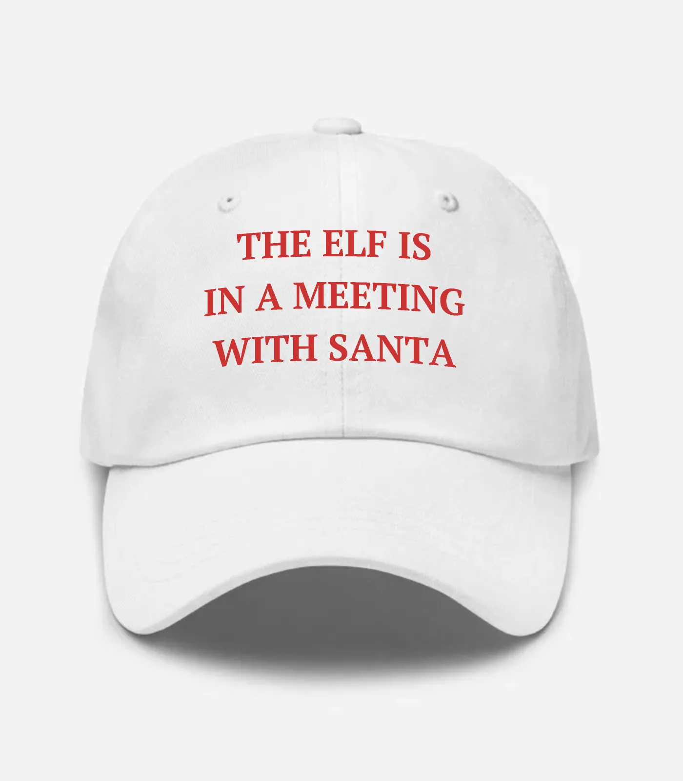 The Elf Is In A Meeting With Santa Hat