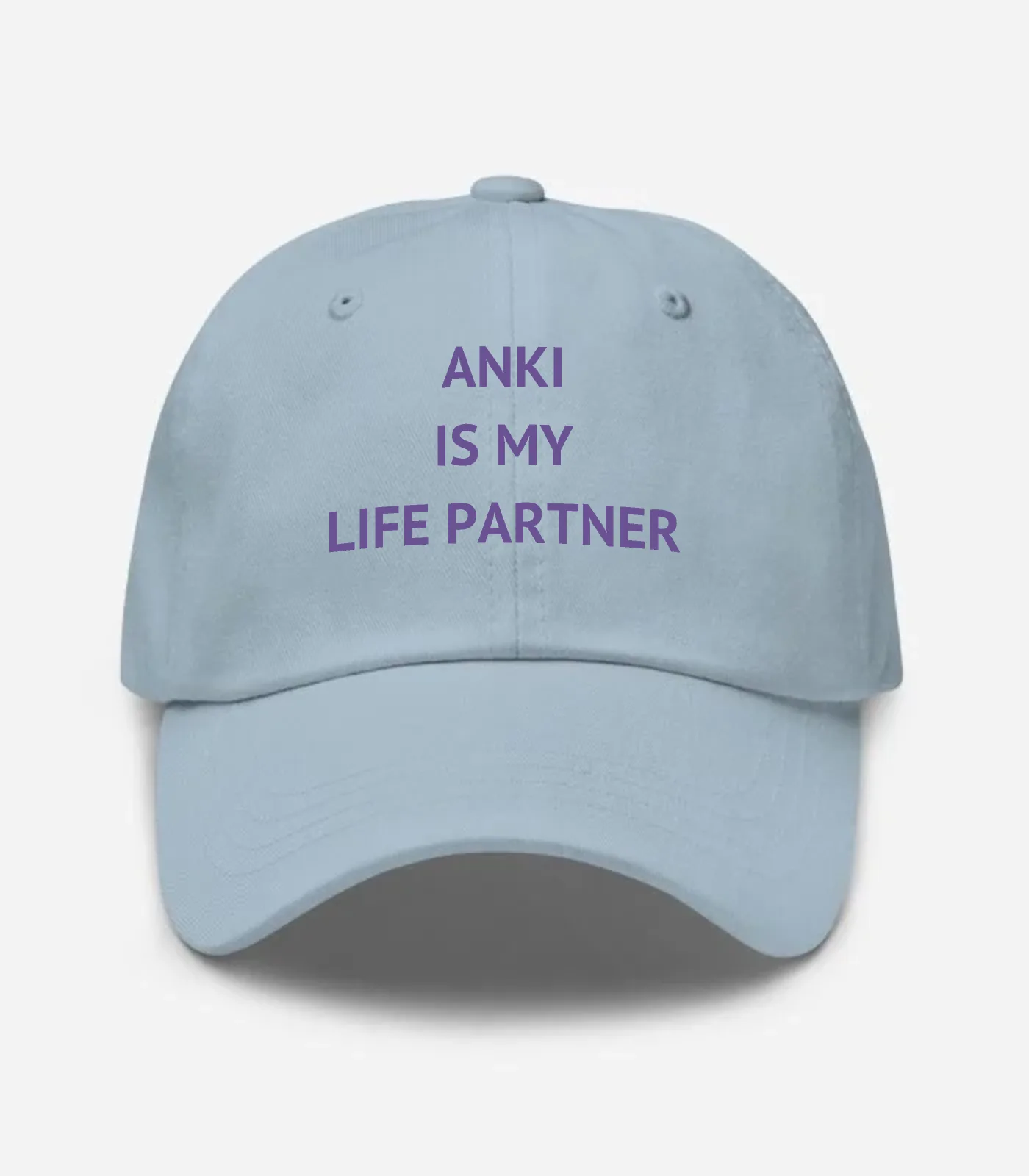 Anki Is My Life Partner Hat - Light Blue