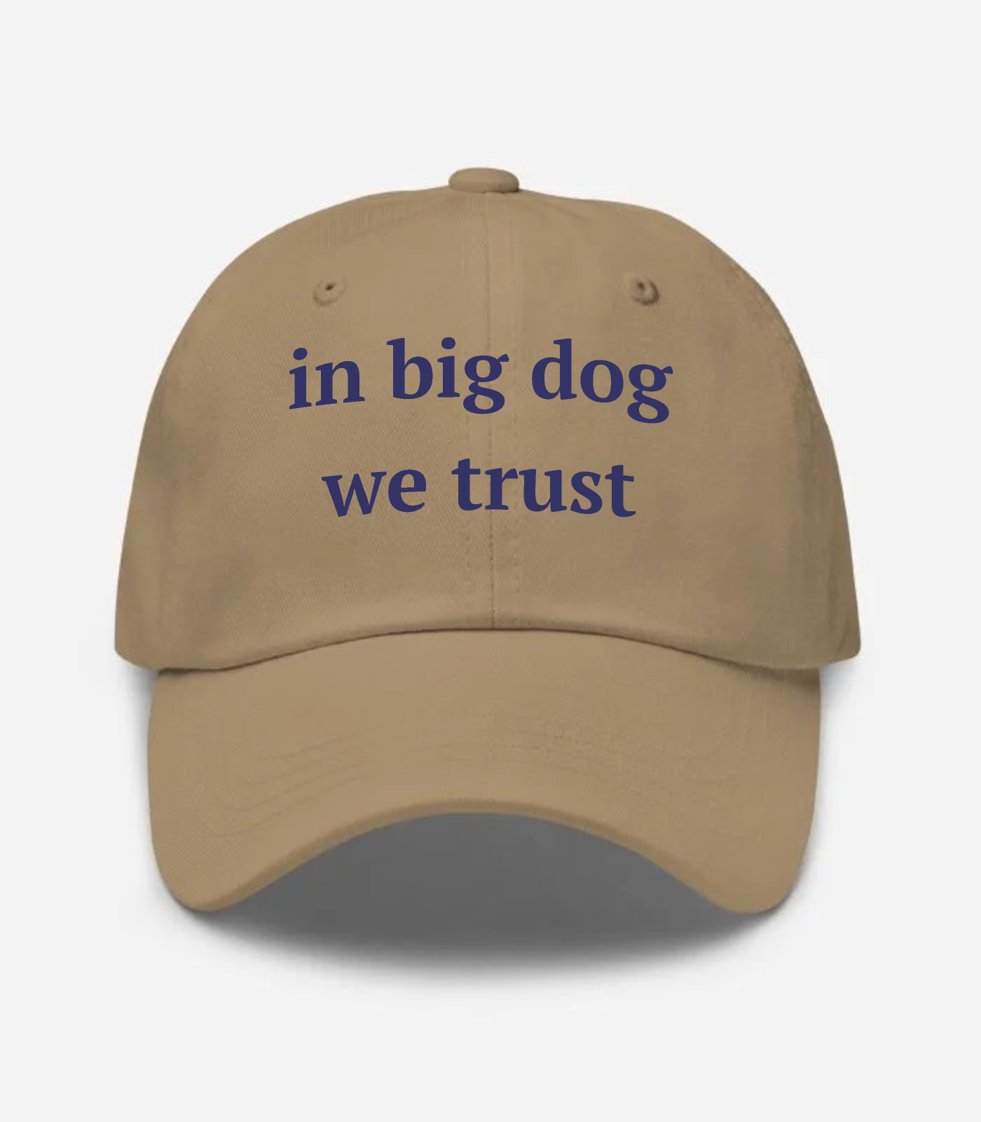 In Big Dog We Trust Hat - Khaki