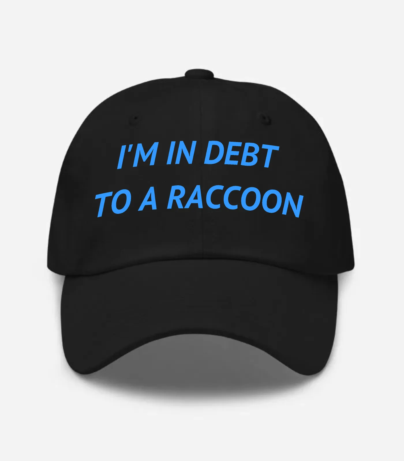 I'm In Debt To A Raccoon Hat - Black