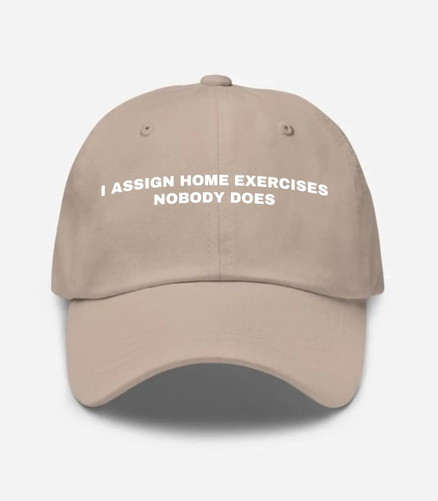 I Assign Home Exercises Nobody Does Hat - Stone