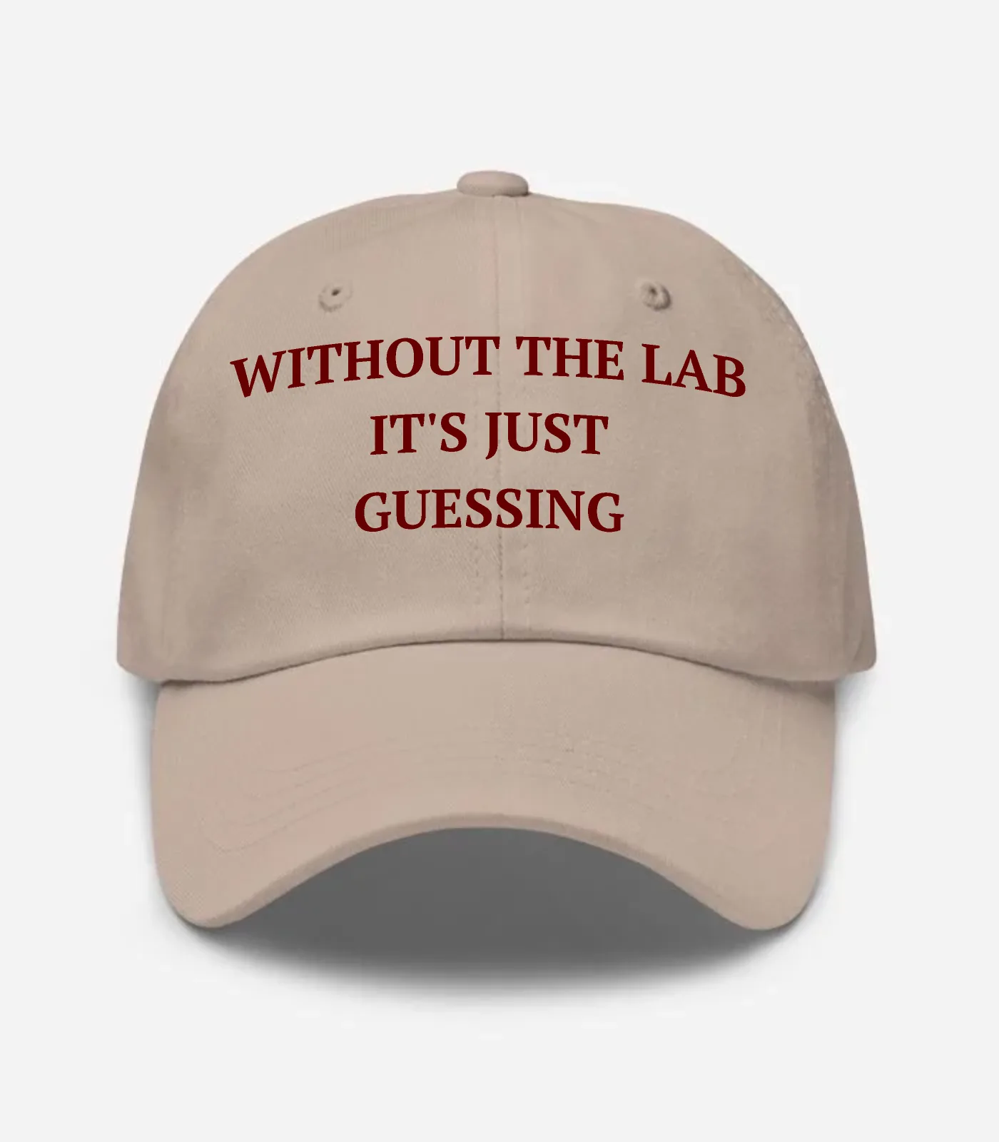 Without The Lab It's Just Guessing Hat - Stone