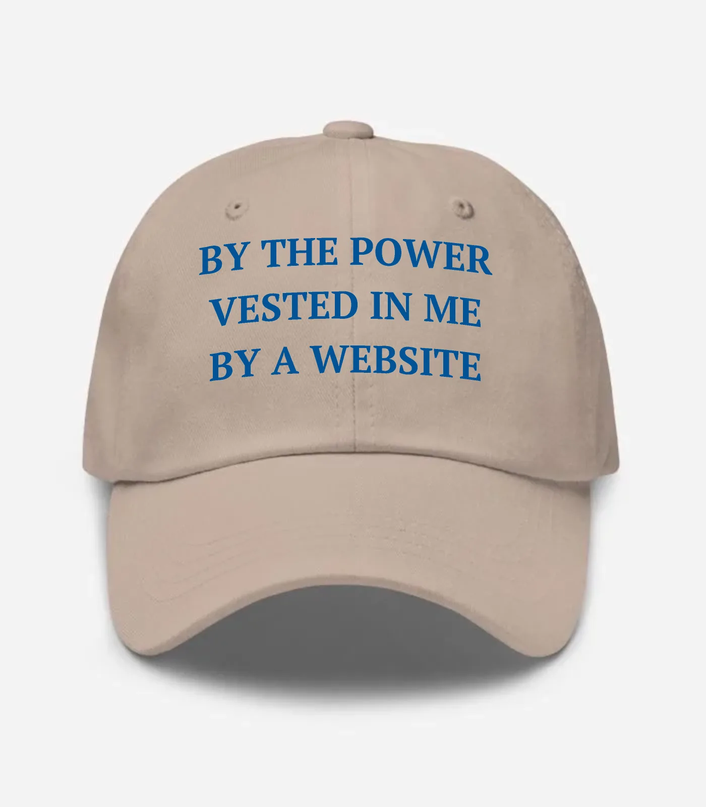 By The Power Vested In Me By A Website Hat - Stone