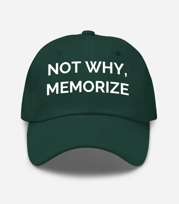 Not Why, Memorize Hat - Spruce
