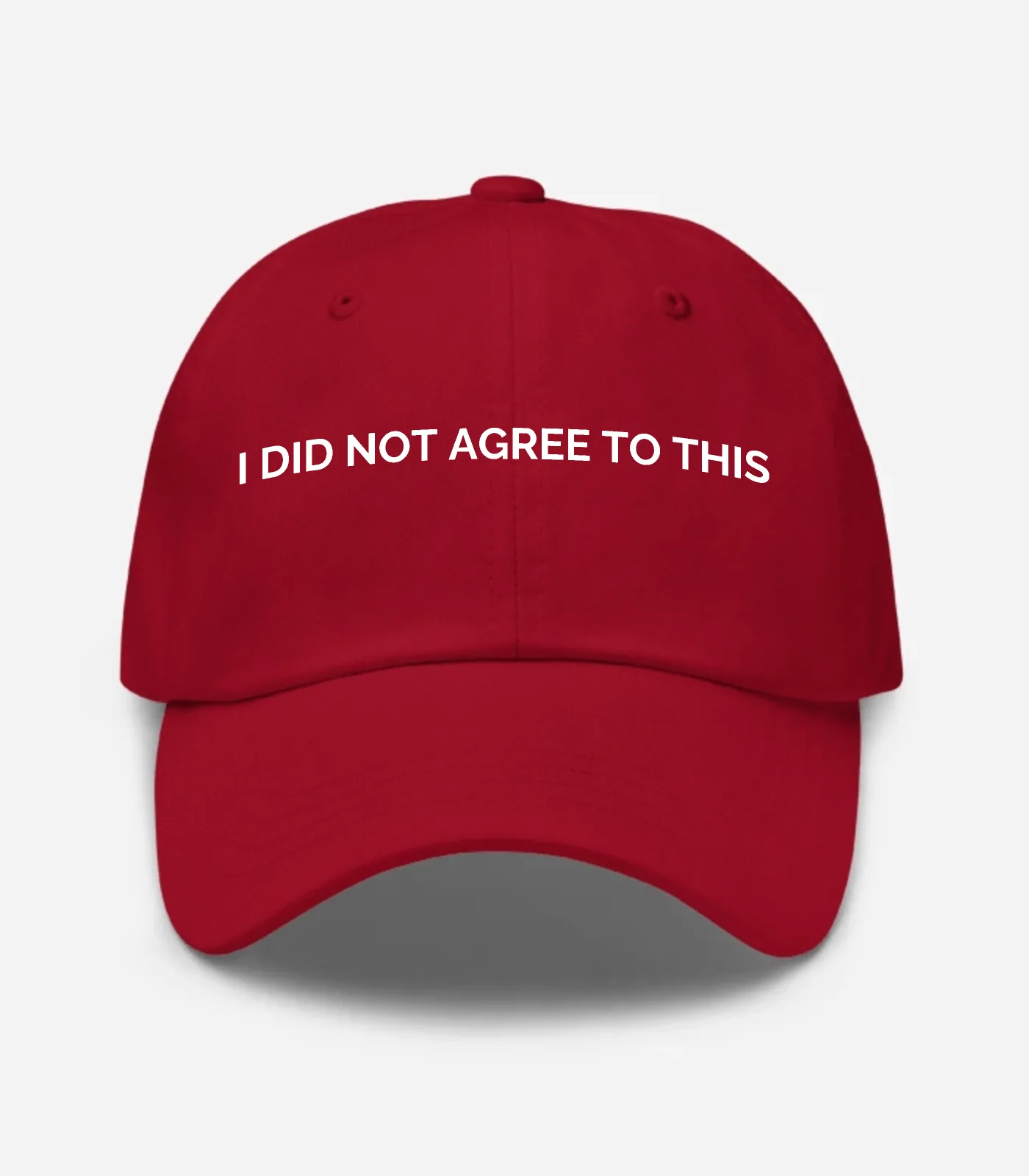 I DID NOT AGREE TO THIS Hat