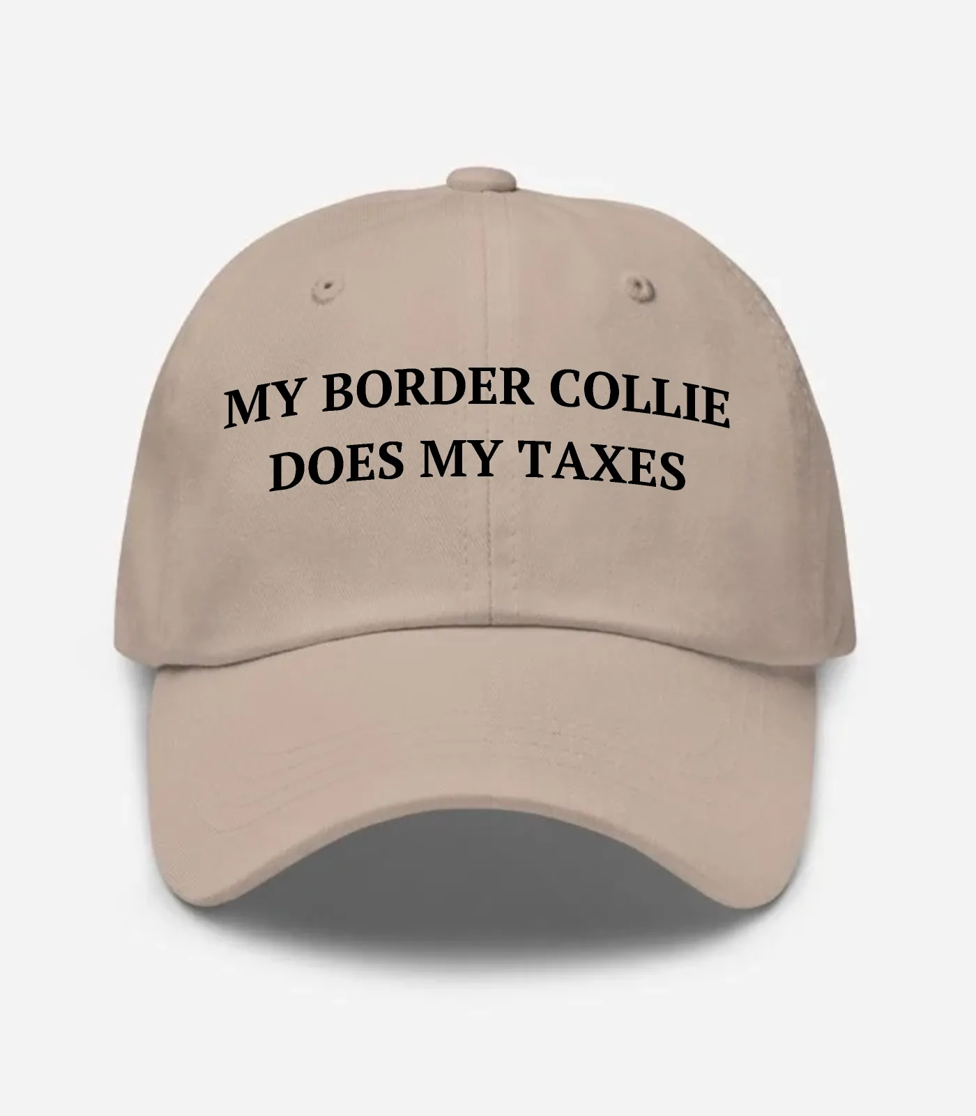 My Border Collie Does My Taxes Hat - Stone
