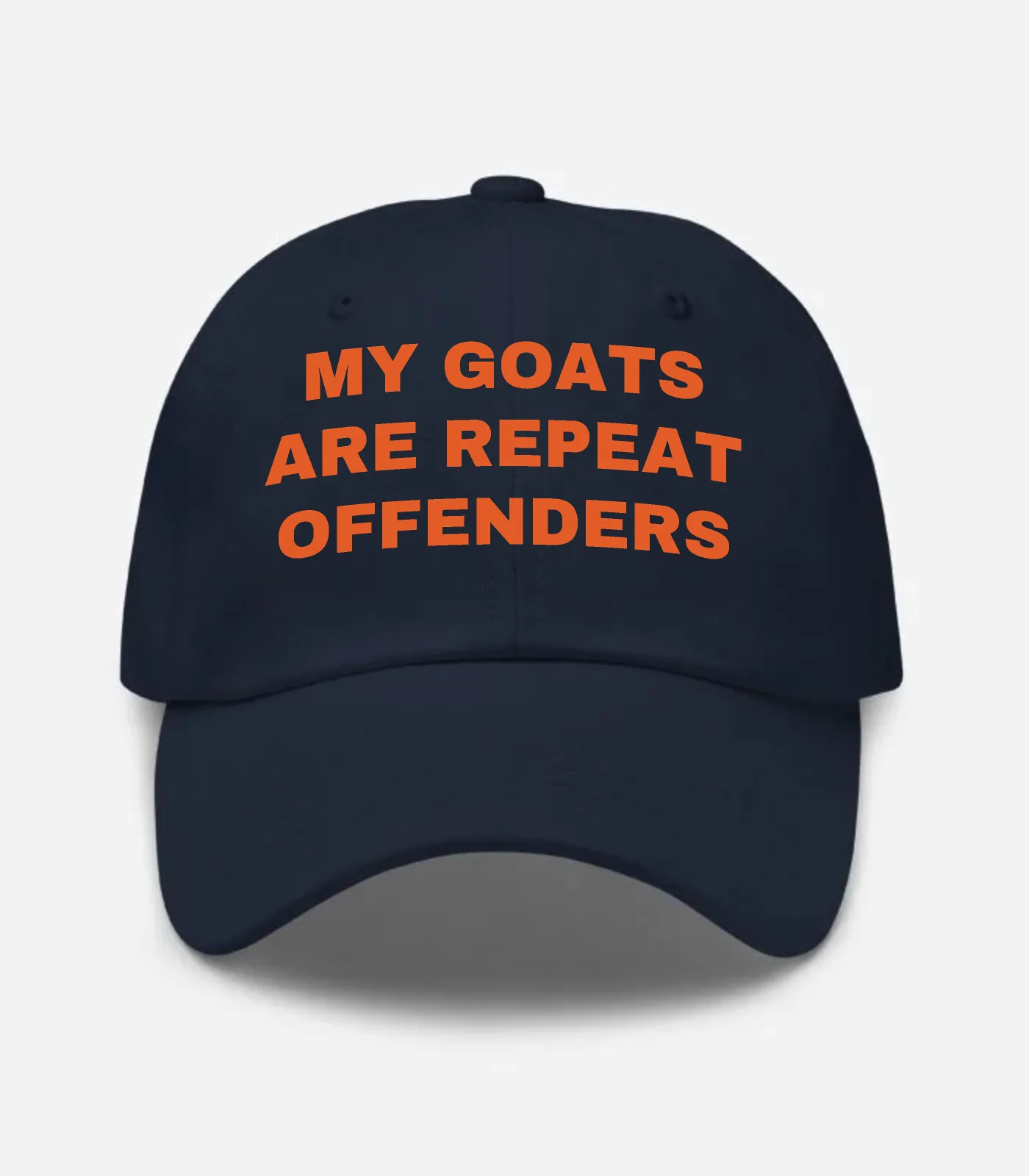My Goats Are Repeat Offenders Hat - Navy