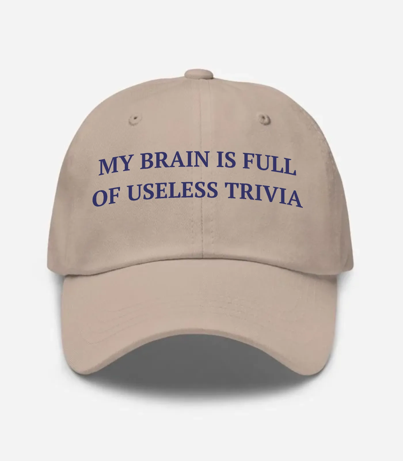 My Brain Is Full Of Useless Trivia Hat - Stone