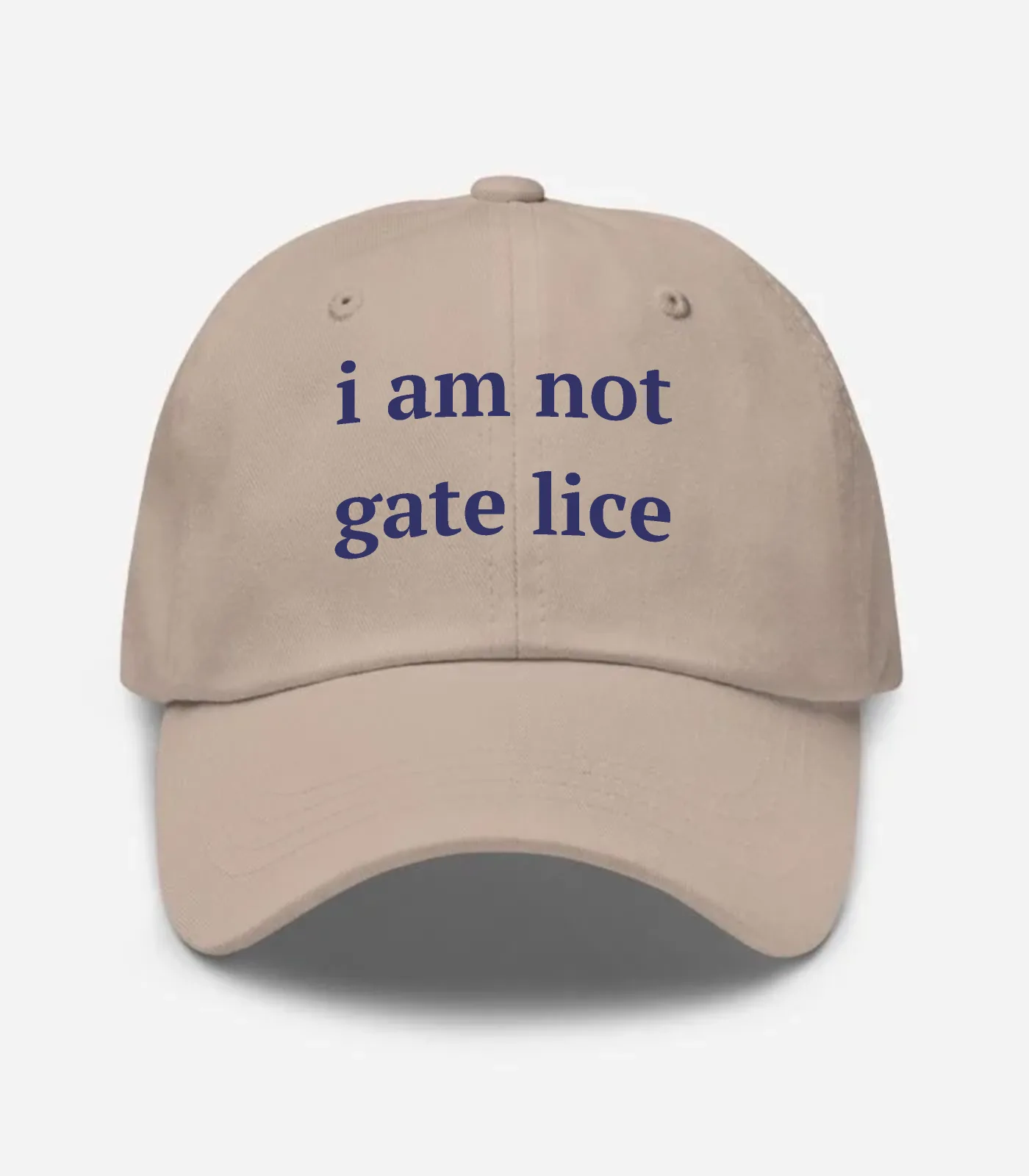 I Am Not Gate Lice Hat