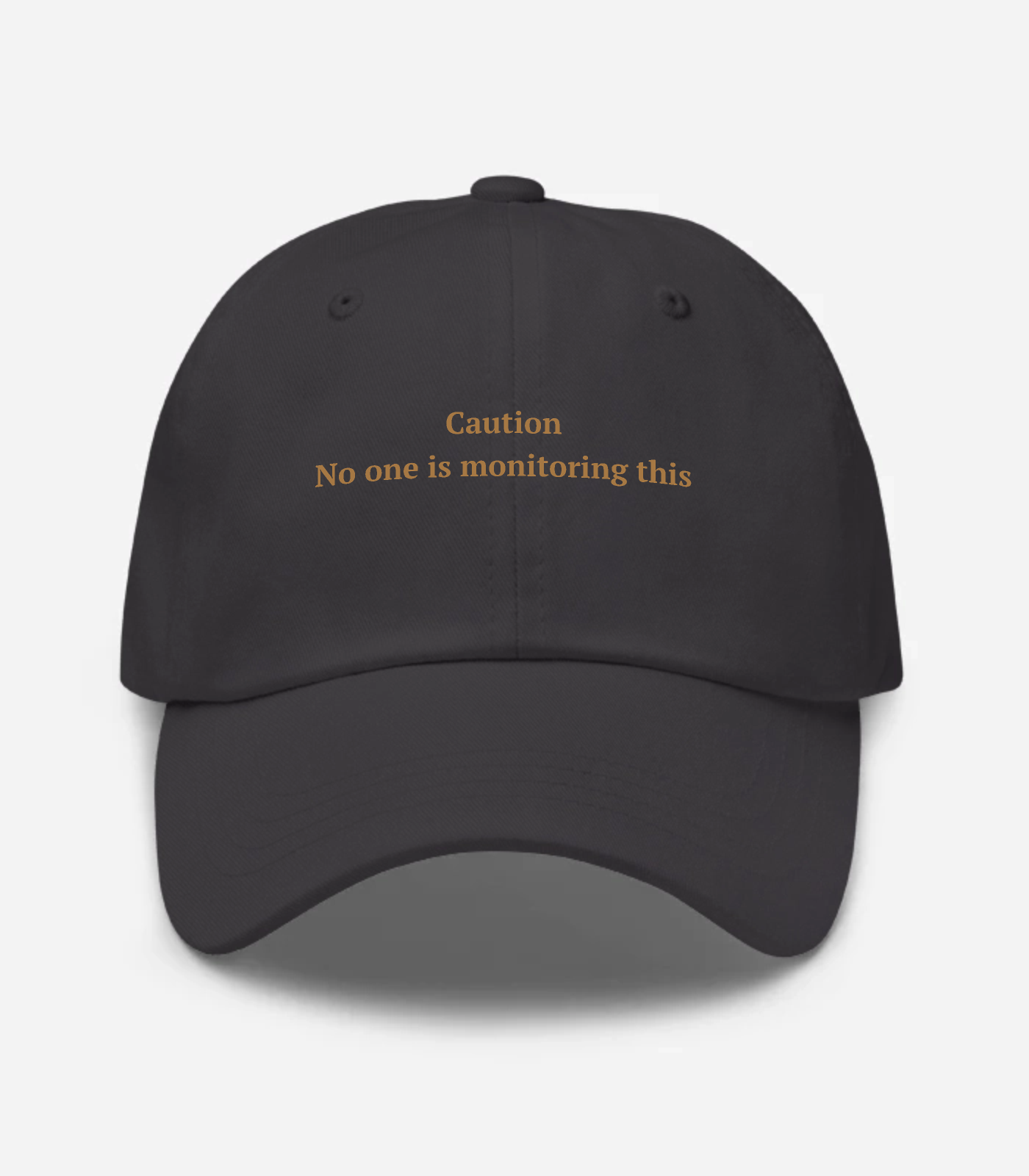 Caution No One Is Monitorin... Hat - Dark Grey
