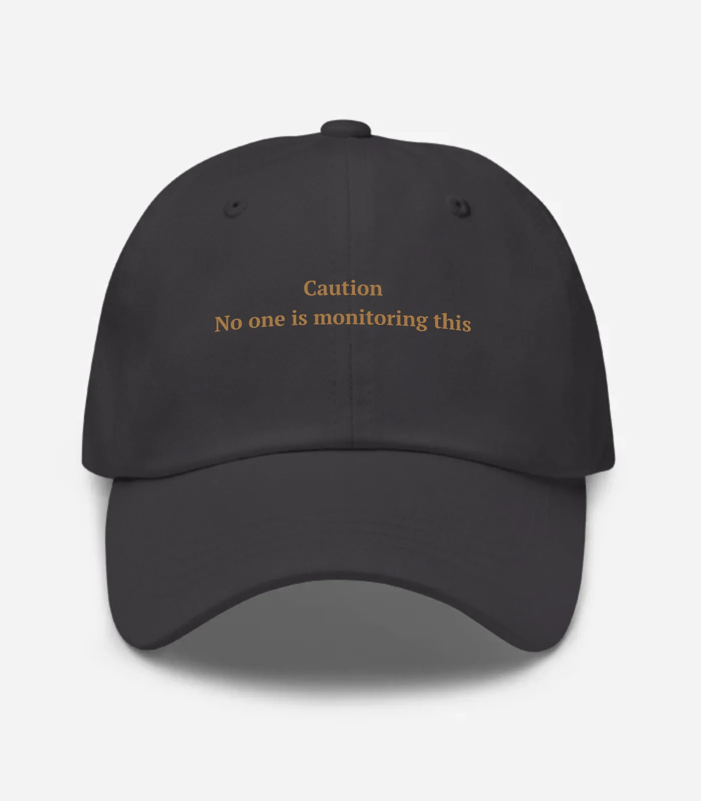Caution No One Is Monitorin... Hat - Dark Grey