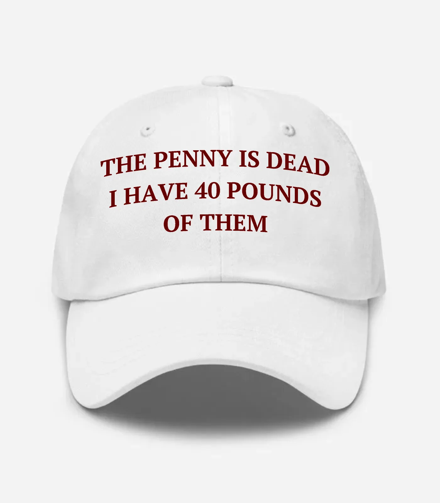 The Penny Is Dead I Have 40 Pounds Of Them Hat
