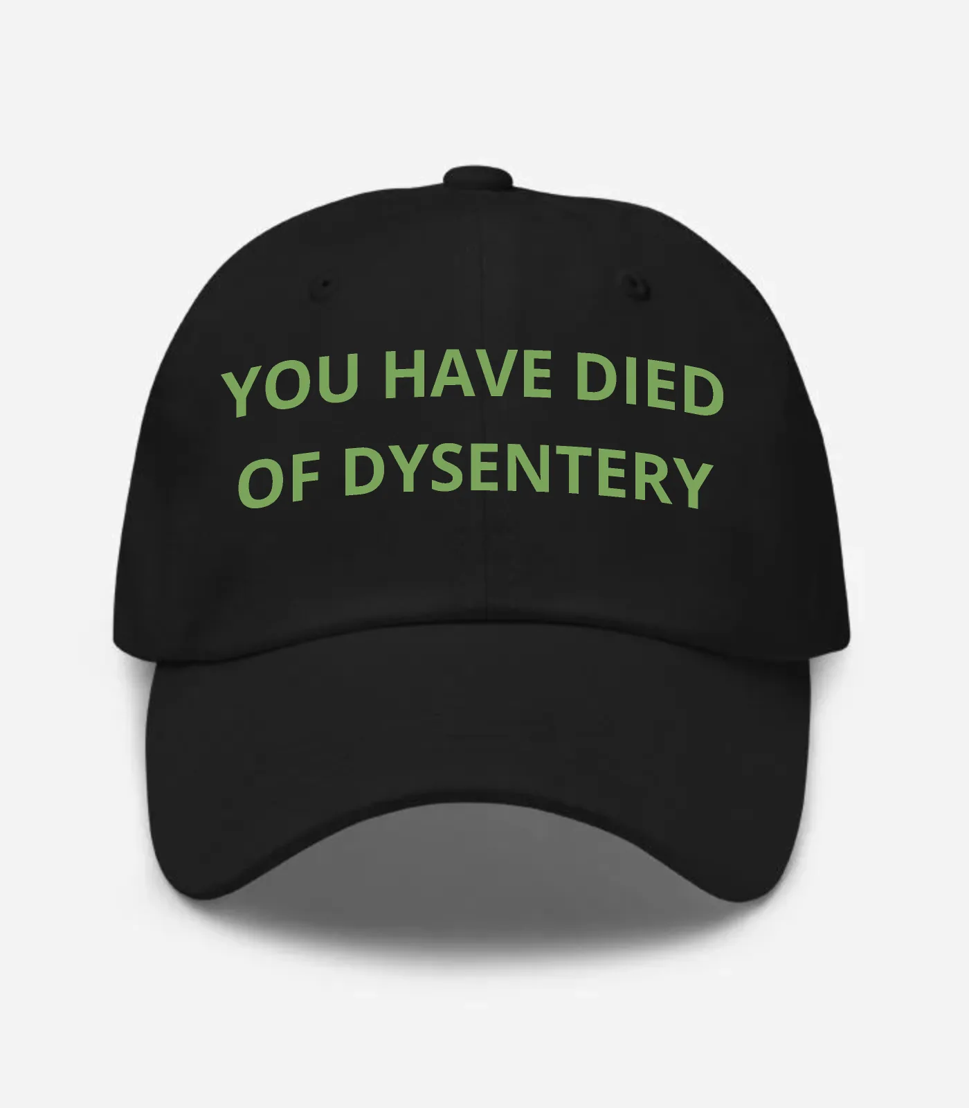 You Have Died Of Dysentery Hat