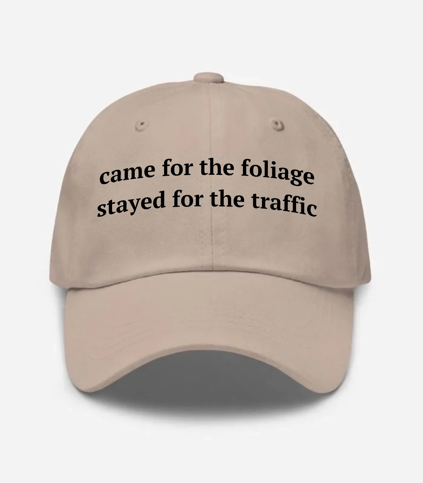 Came For The Foliage Stayed... Hat - Stone