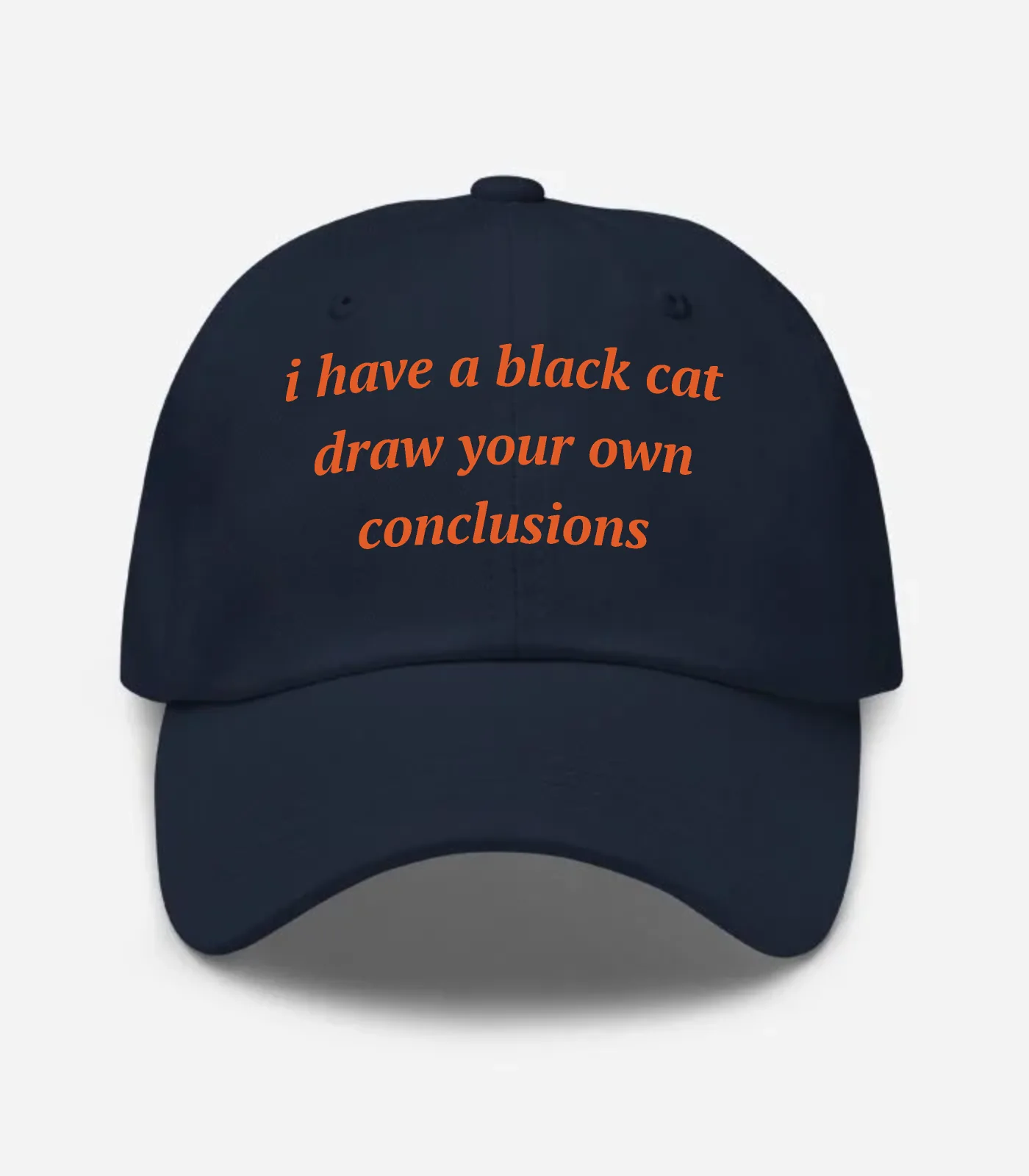 I Have A Black Cat Draw Your Own Conclusions Hat