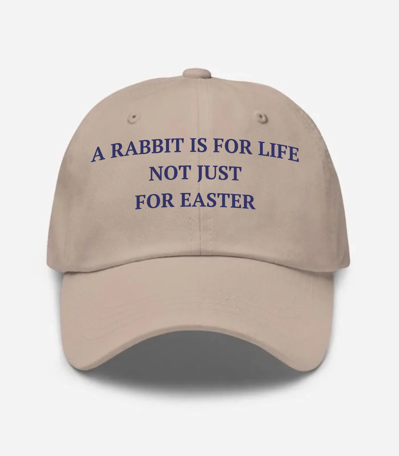 A Rabbit Is For Life Not Just For Easter Hat - Stone