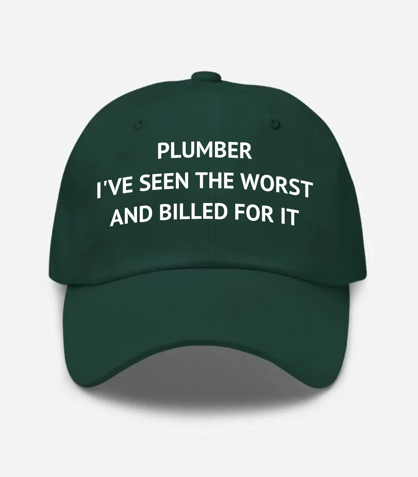 Plumber I've Seen The Worst And Billed For It Hat