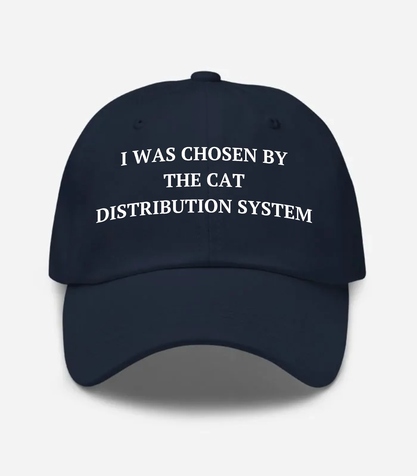 I Was Chosen By The Cat Dis... Hat