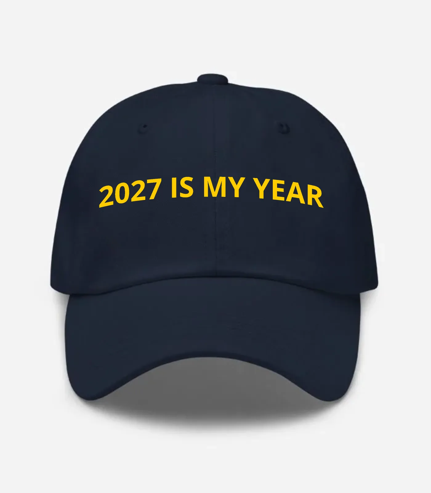 2027 Is My Year Hat - Navy