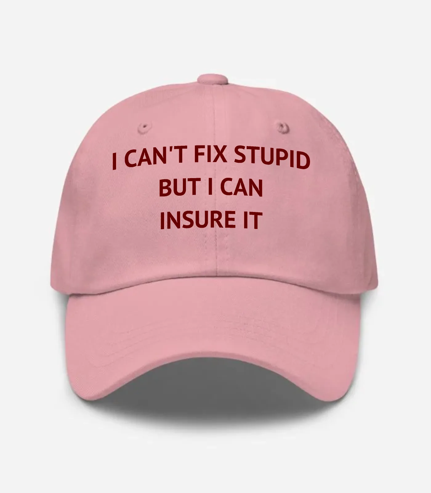 I Can't Fix Stupid But I Can Insure It Hat