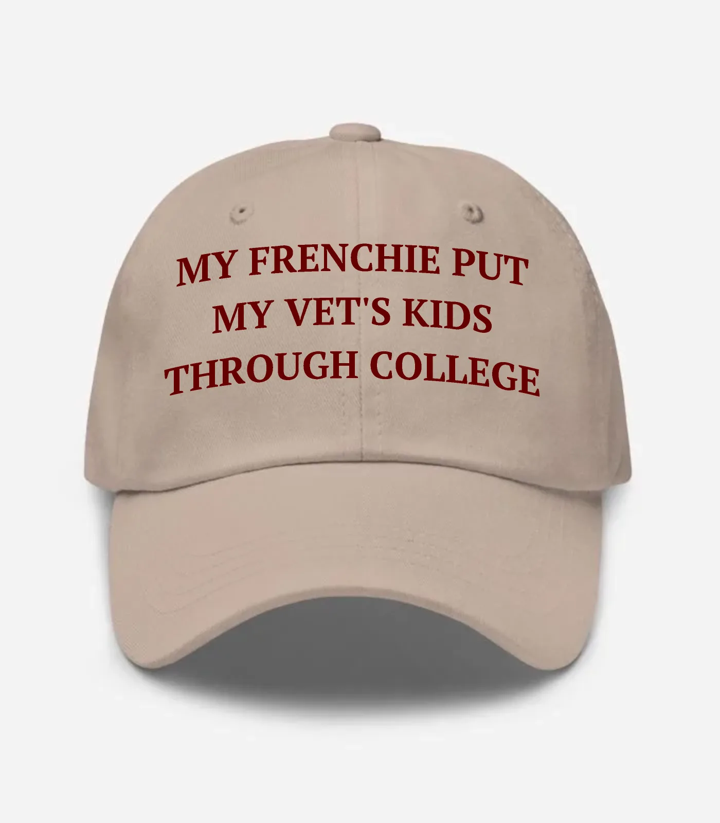 My Frenchie Put My Vet's Kids Through College Hat - Stone