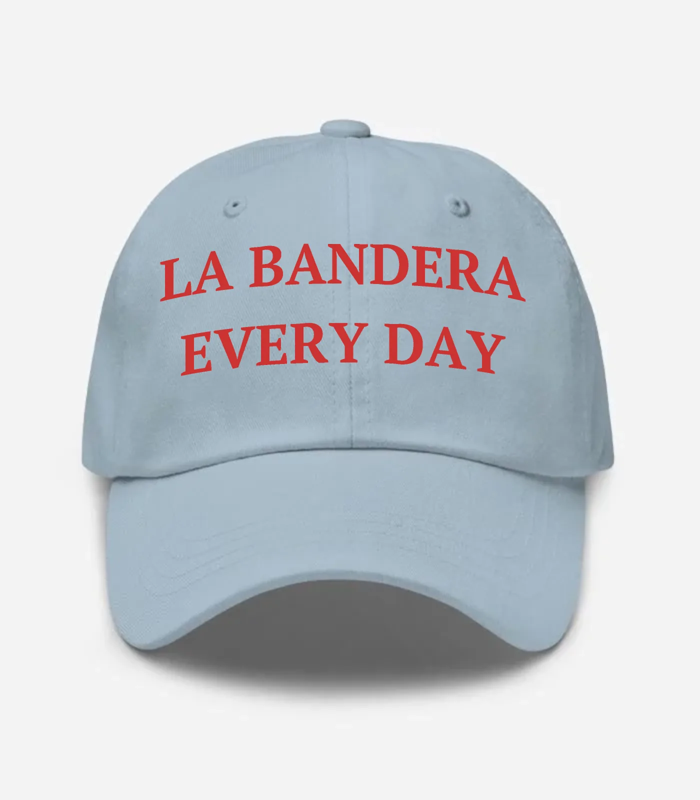 La Bandera Every Day Hat - Light Blue