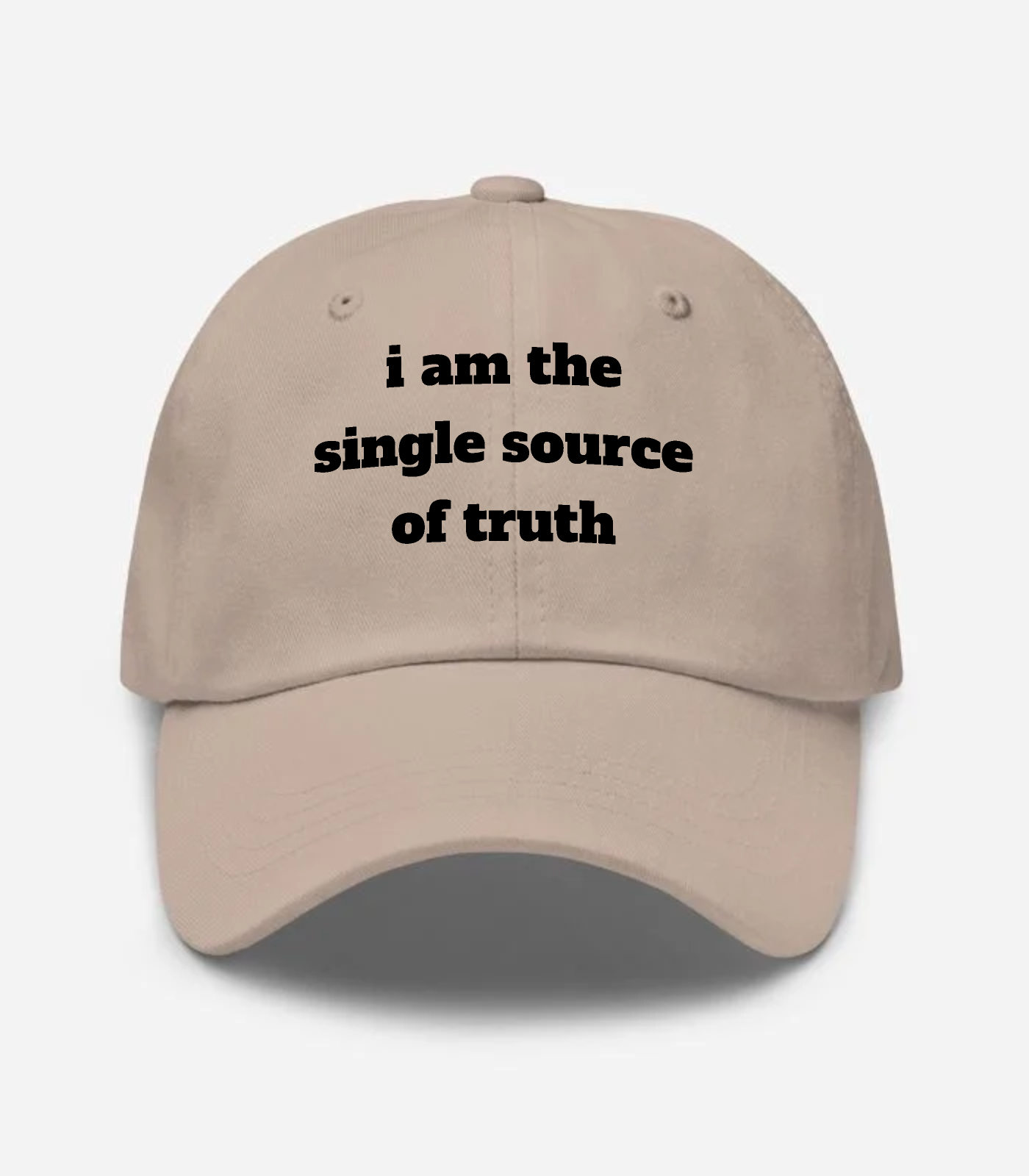 I Am The Single Source Of T... Hat - Stone