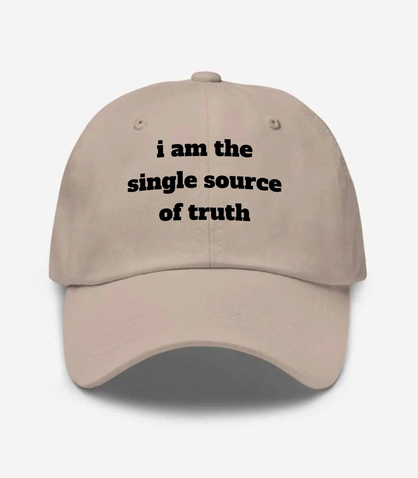 I Am The Single Source Of T... Hat - Stone
