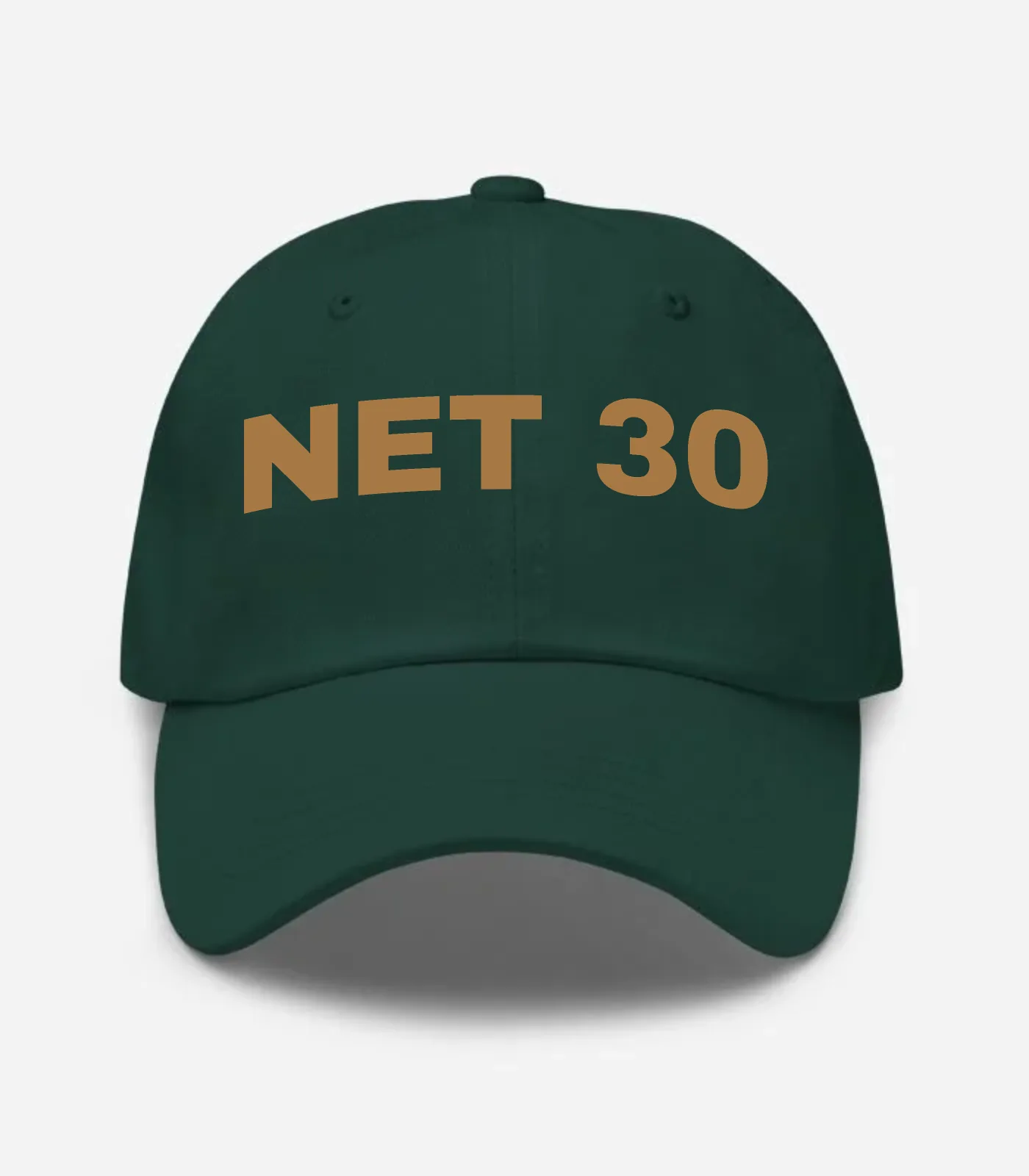 Net 30 Hat - Spruce