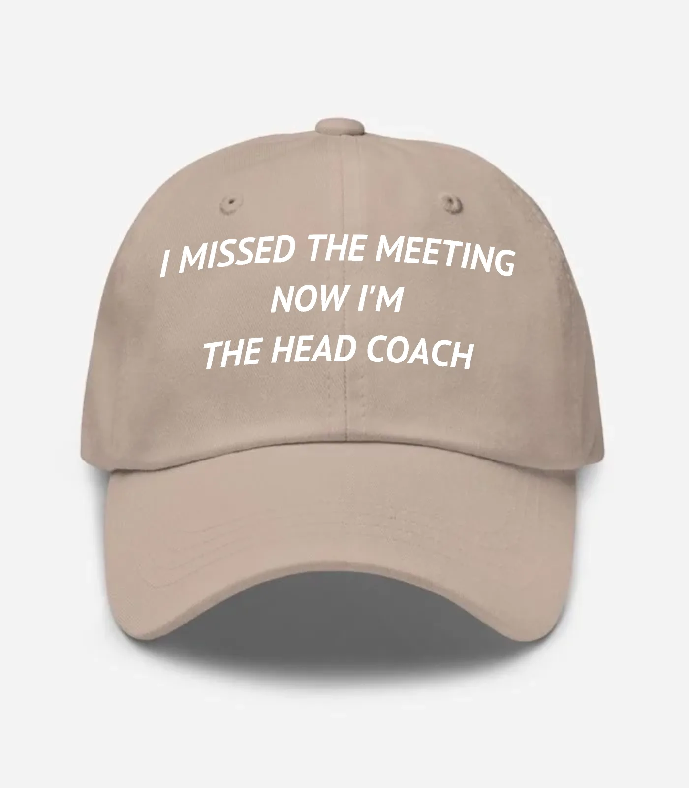 I Missed The Meeting Now I'm The Head Coach Hat