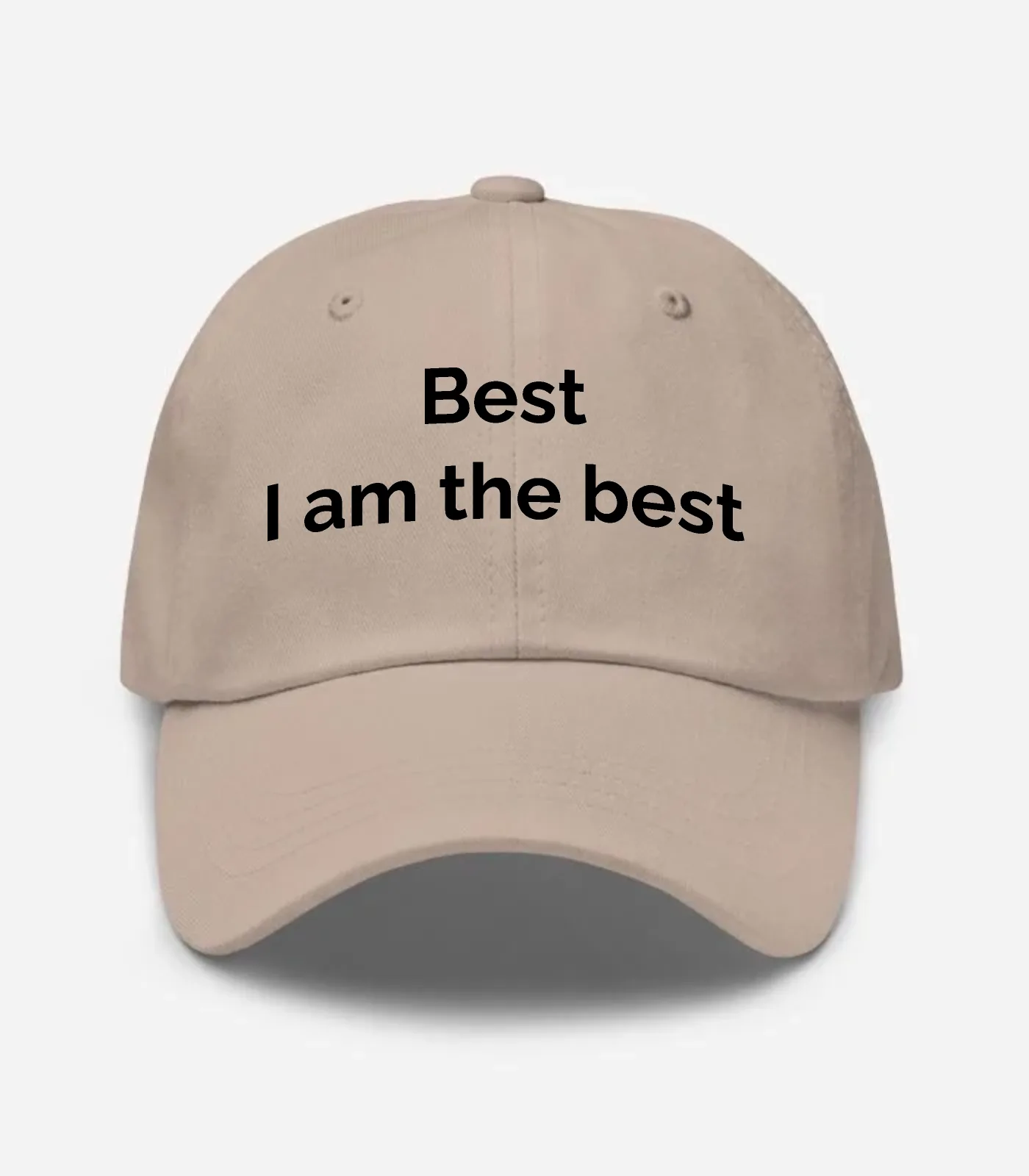 Best I Am The Best Hat - Stone