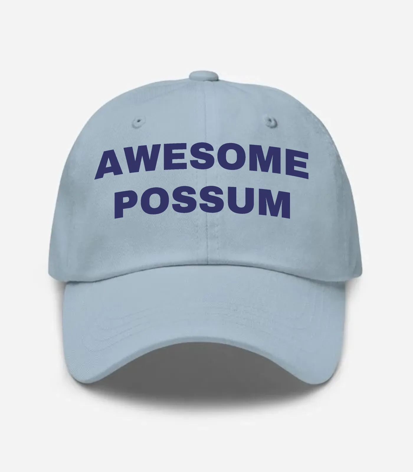 Awesome Possum Hat - Light Blue