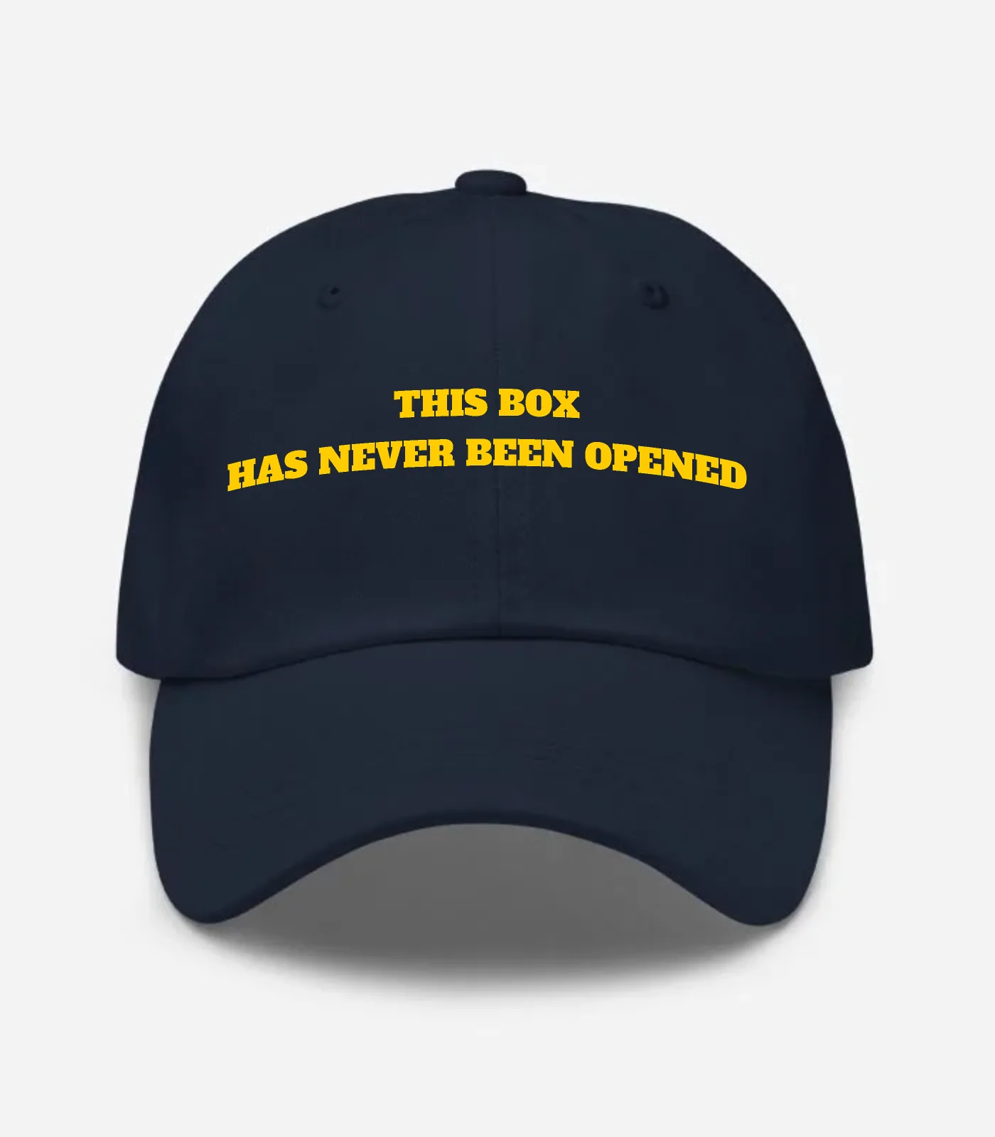 This Box Has Never Been Opened Hat - Navy