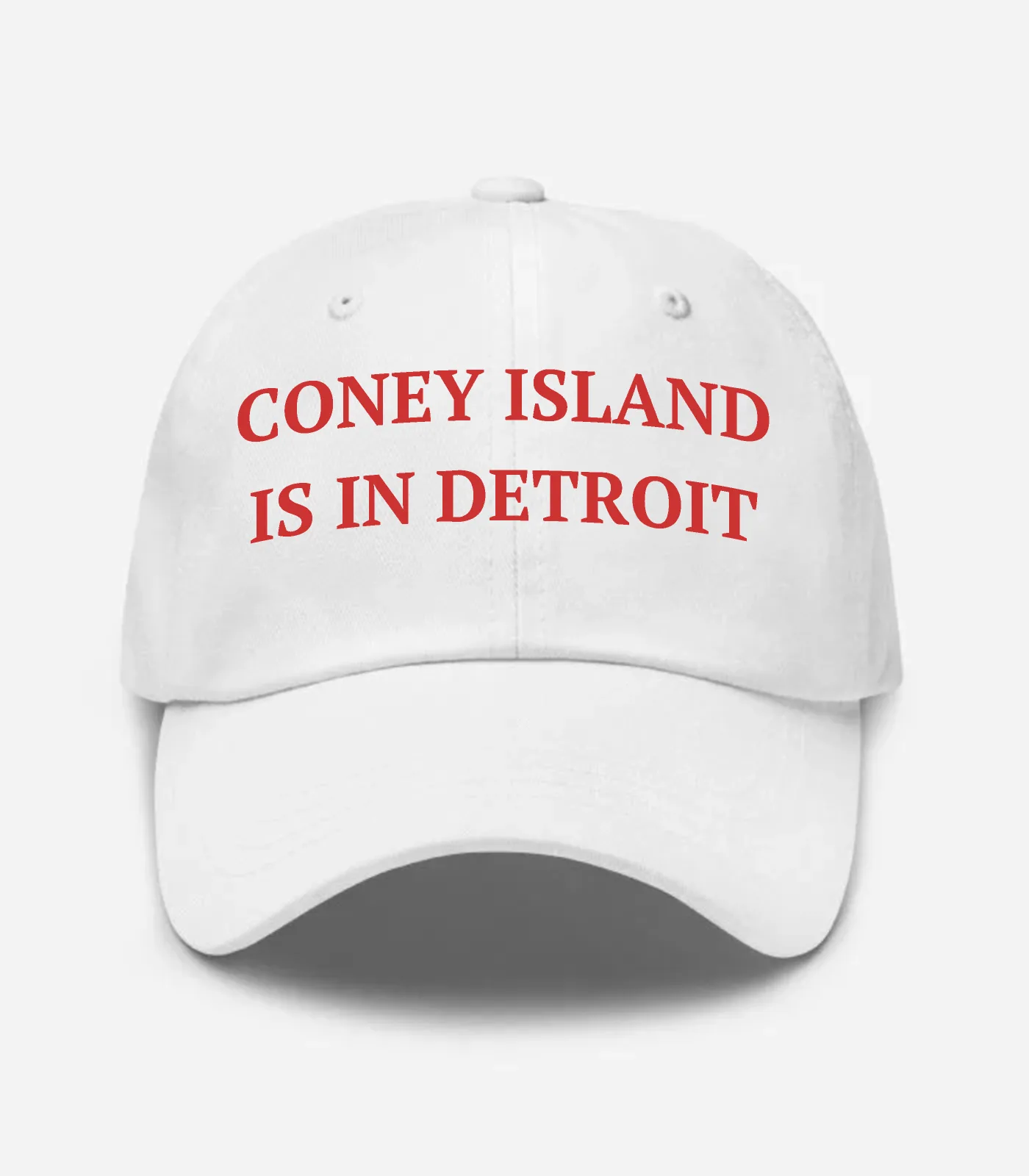 Coney Island Is In Detroit Hat