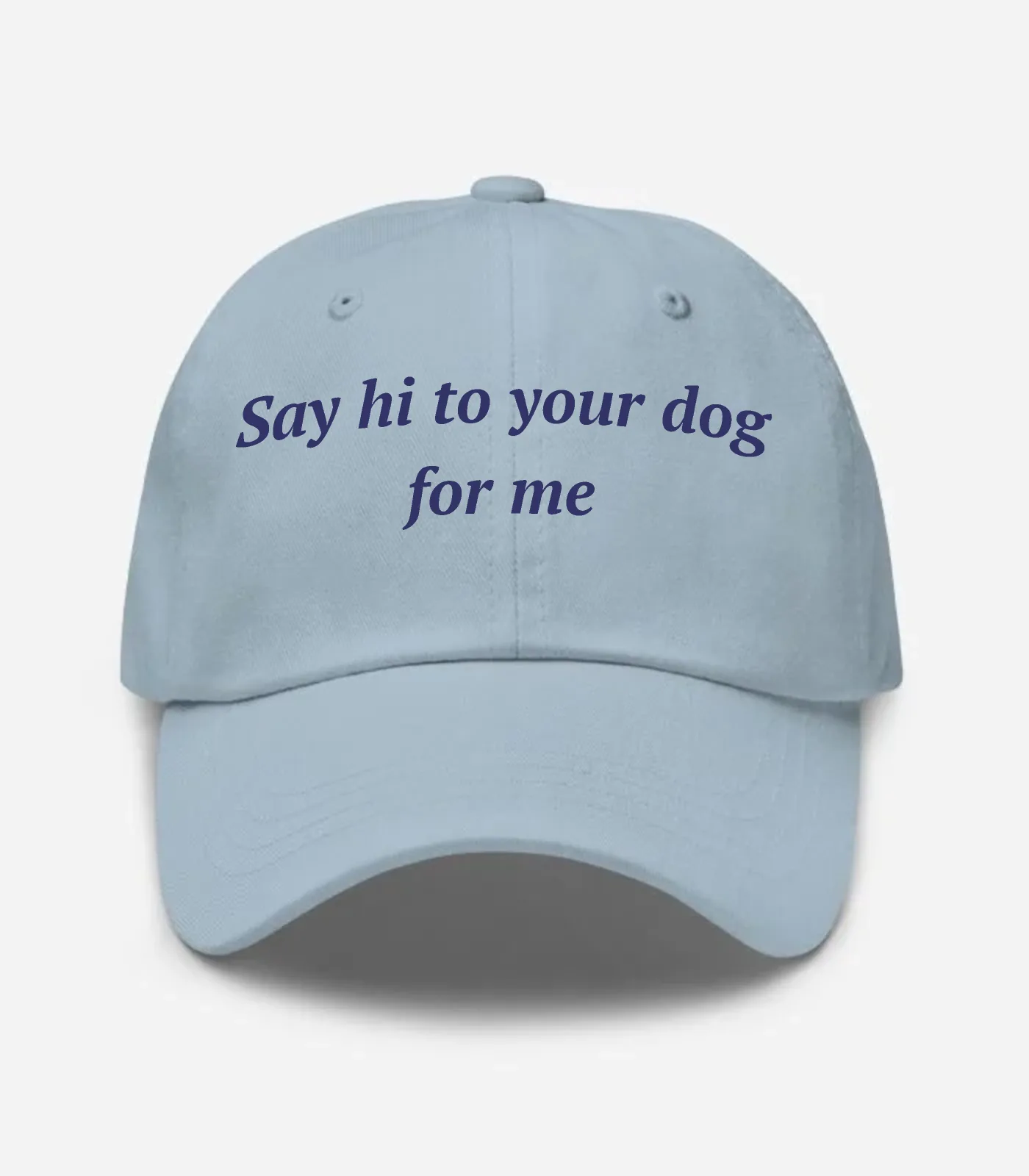 Say Hi To Your Dog For Me Hat - Light Blue