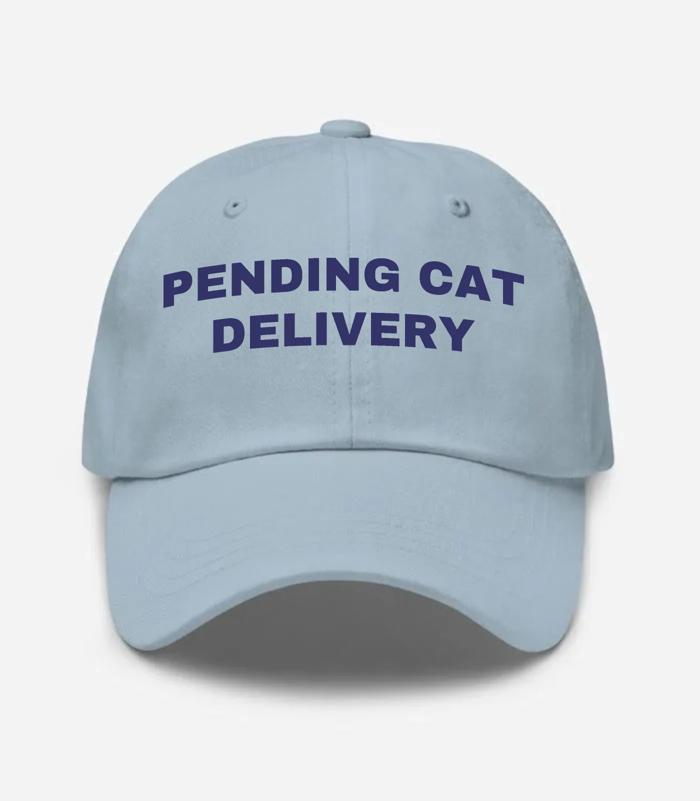 Pending Cat Delivery Hat