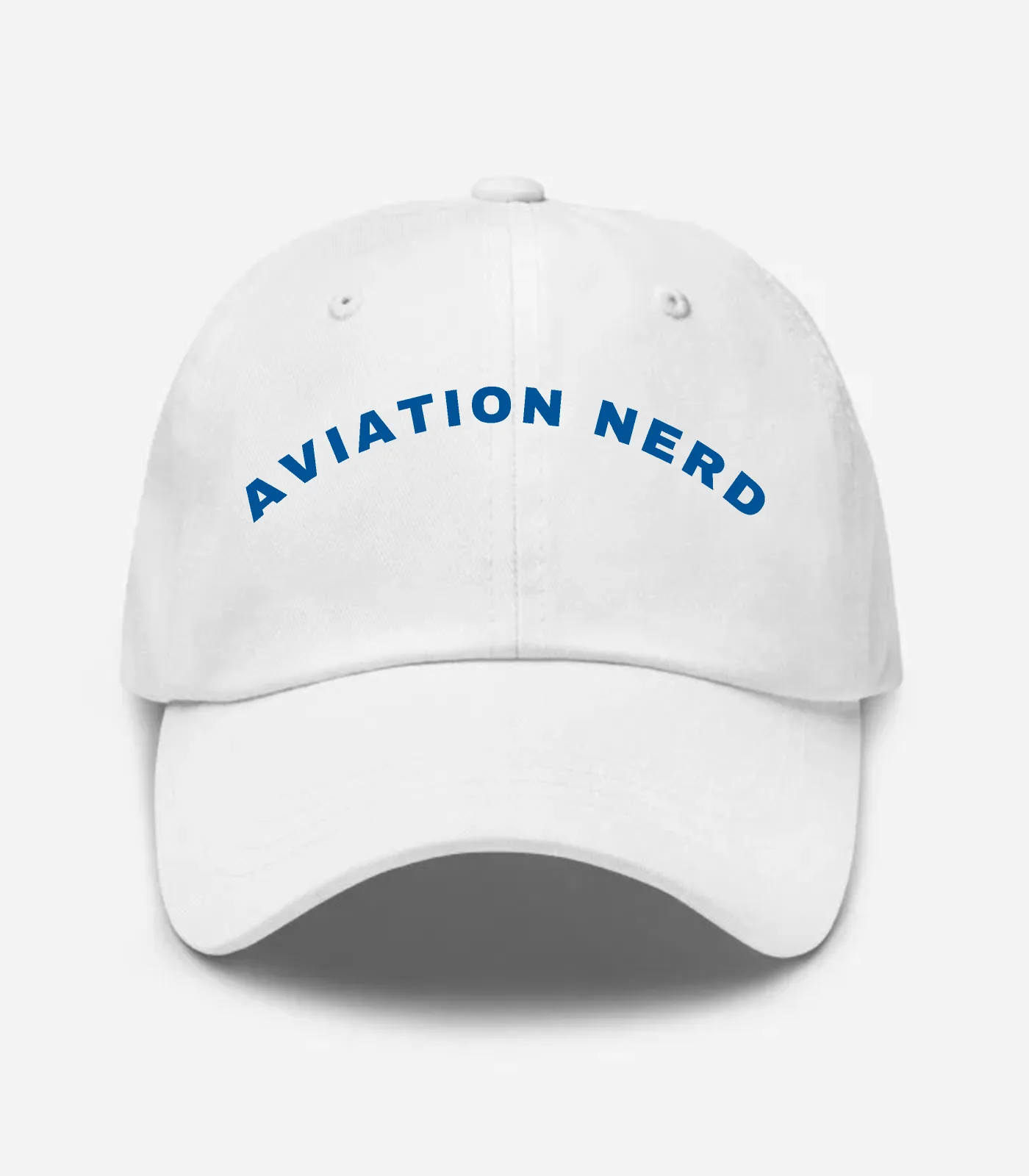 Aviation Nerd Arched Arched Hat