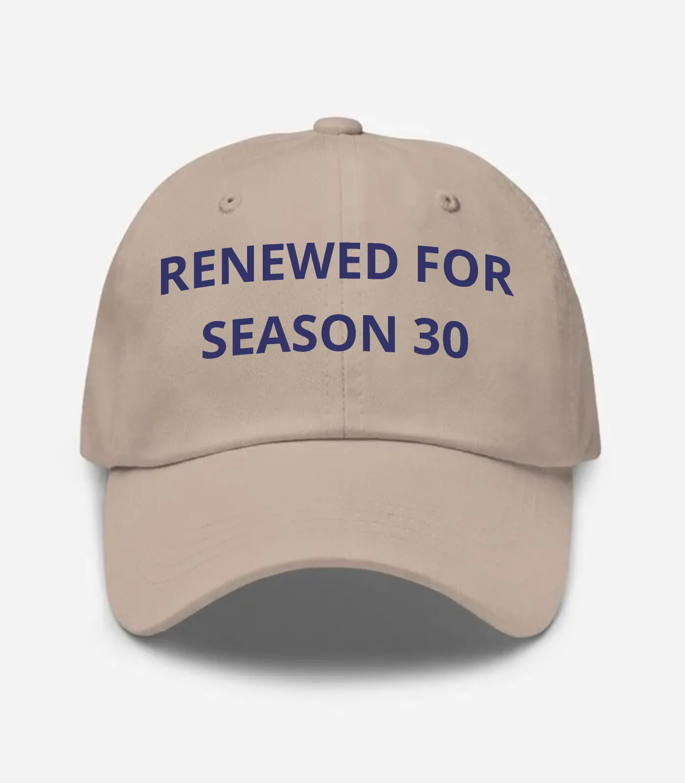 Renewed For Season 30 Hat - Stone