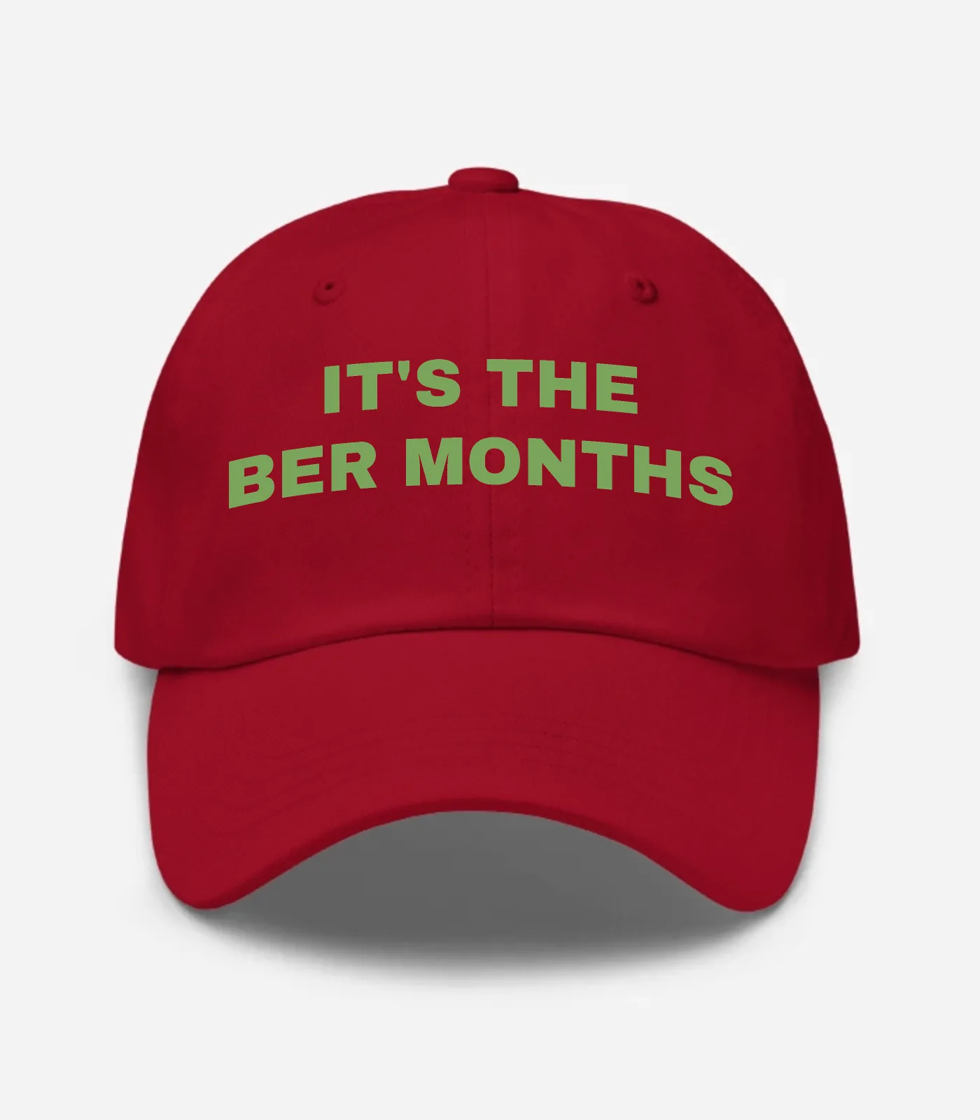 It's The Ber Months Hat