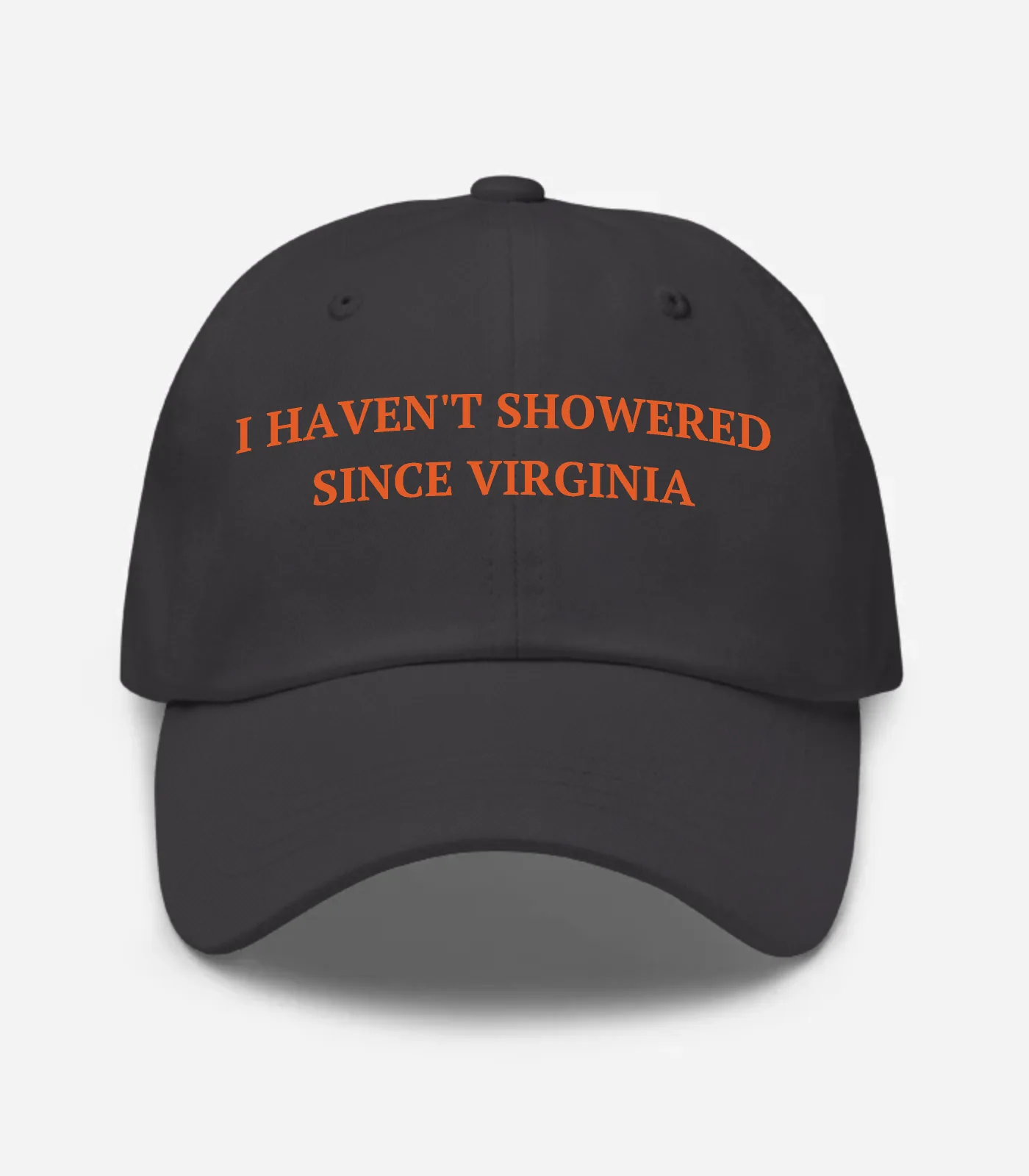 I Haven't Showered Since Virginia Hat